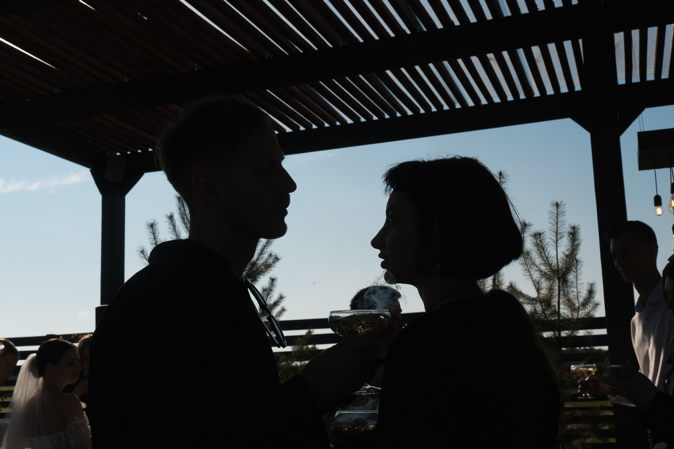 Just married!. Свадебный фотограф Москва Светлана Анисимова