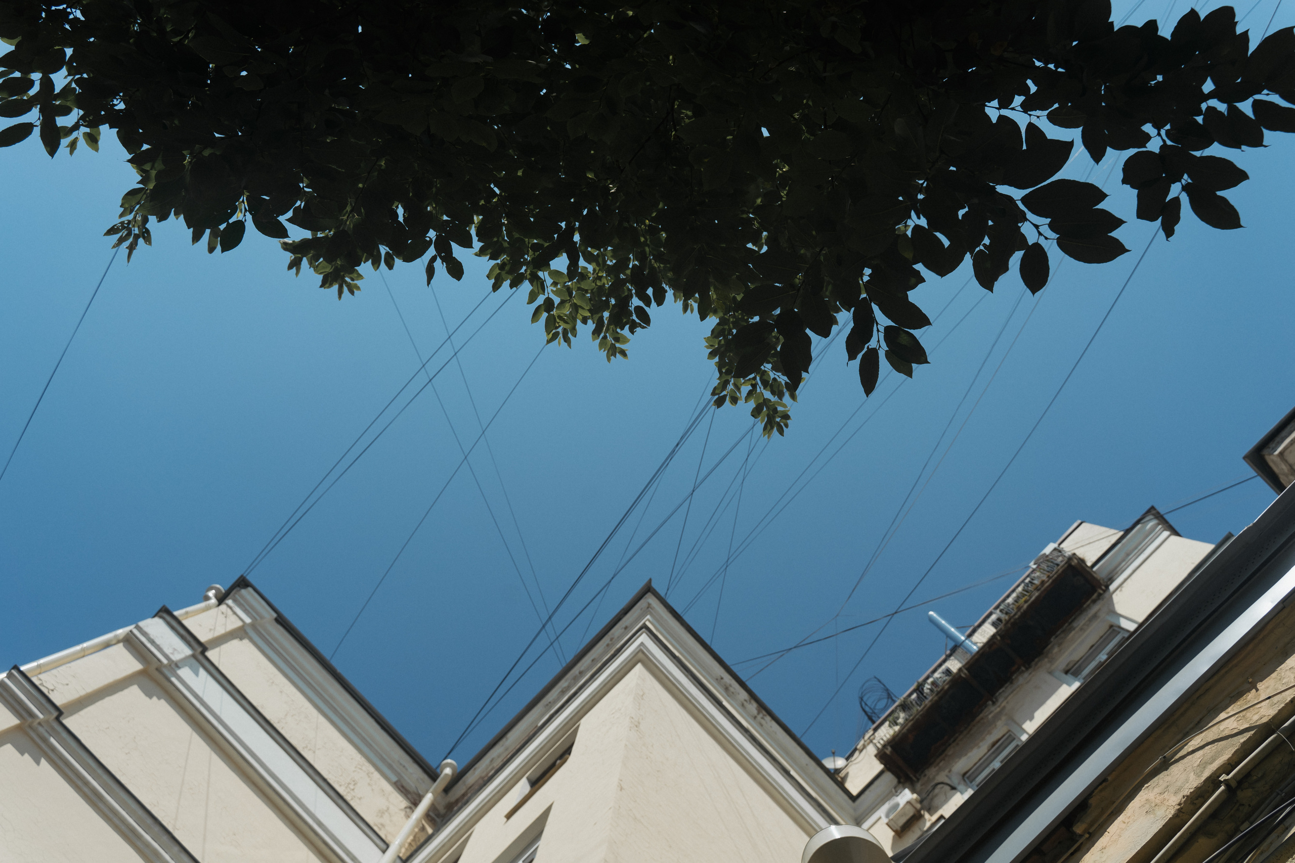 Just married!. Свадебный фотограф Москва Светлана Анисимова