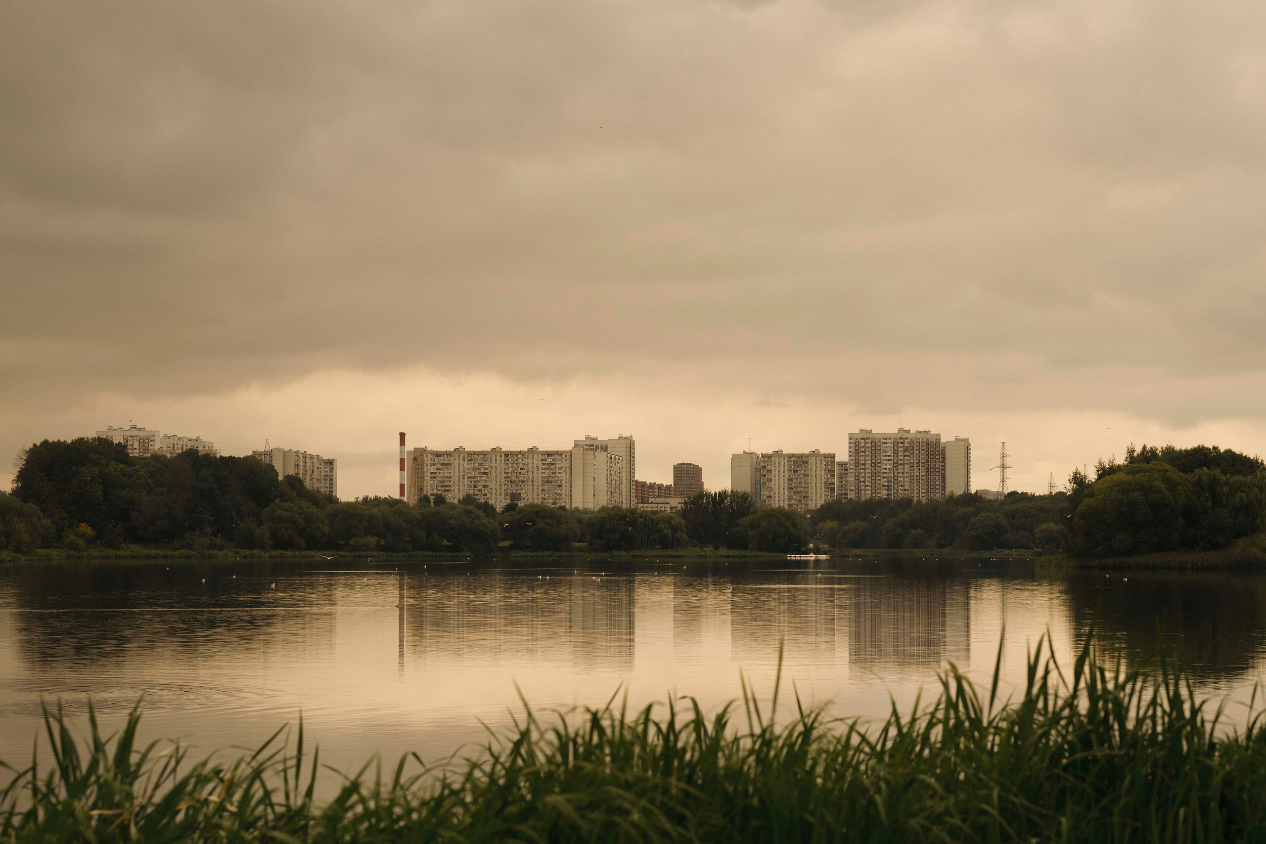 Мартин. Фотограф- анималист Александра Матвеева