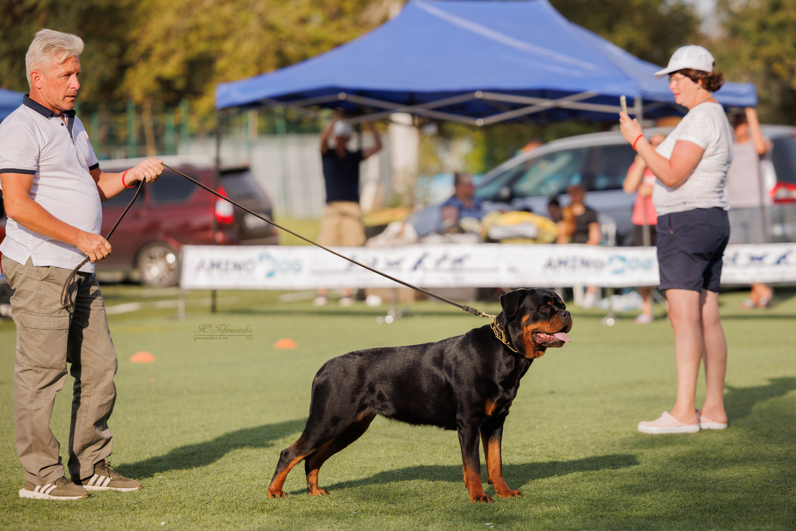Анапа ротвейлеры 14-15.09.2024. Фотограф-анималист Юлия Германика