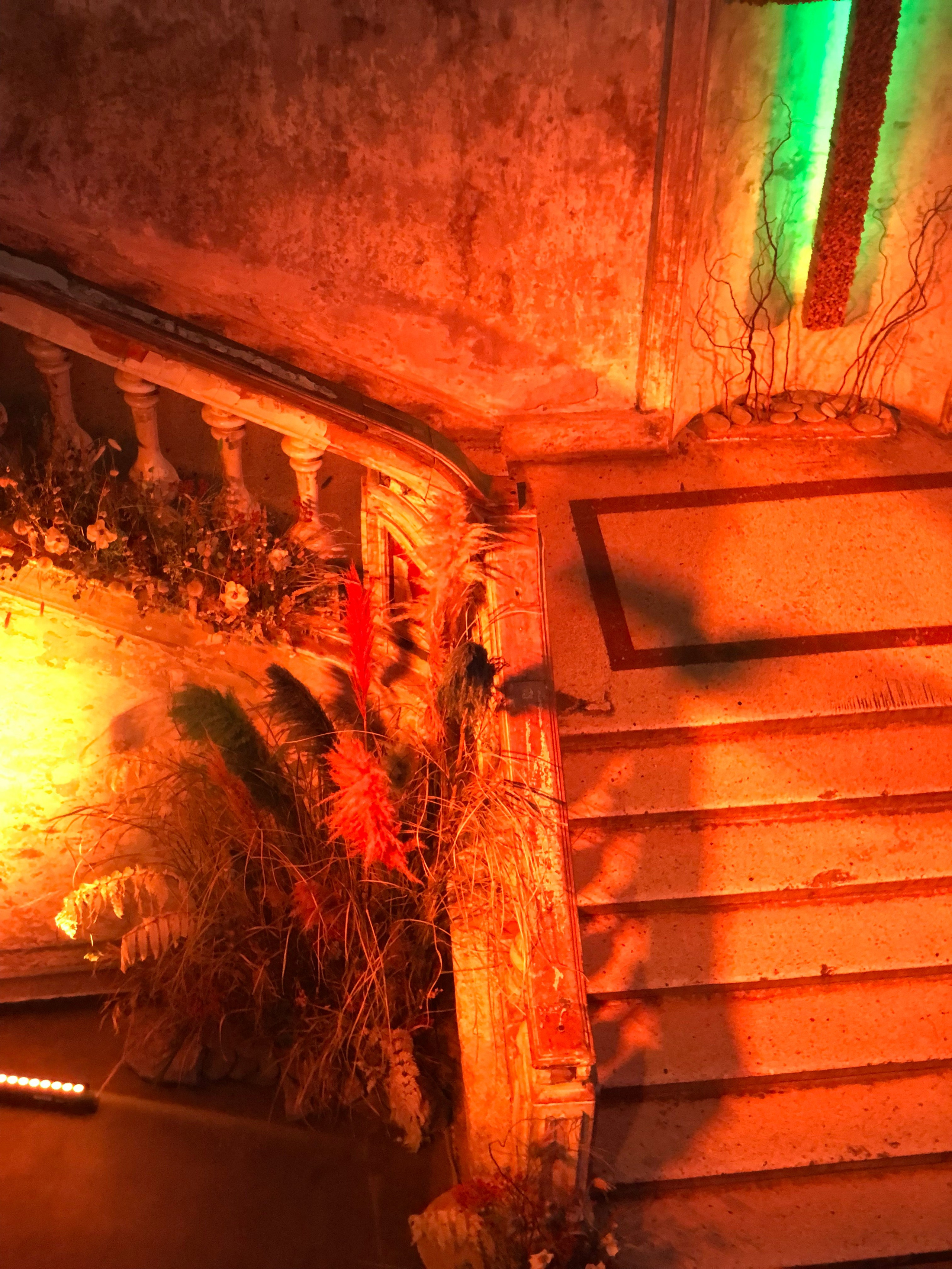 Сентябрь. Семейный, Свадебный фотограф СПБ Питер— Романова Екатерина