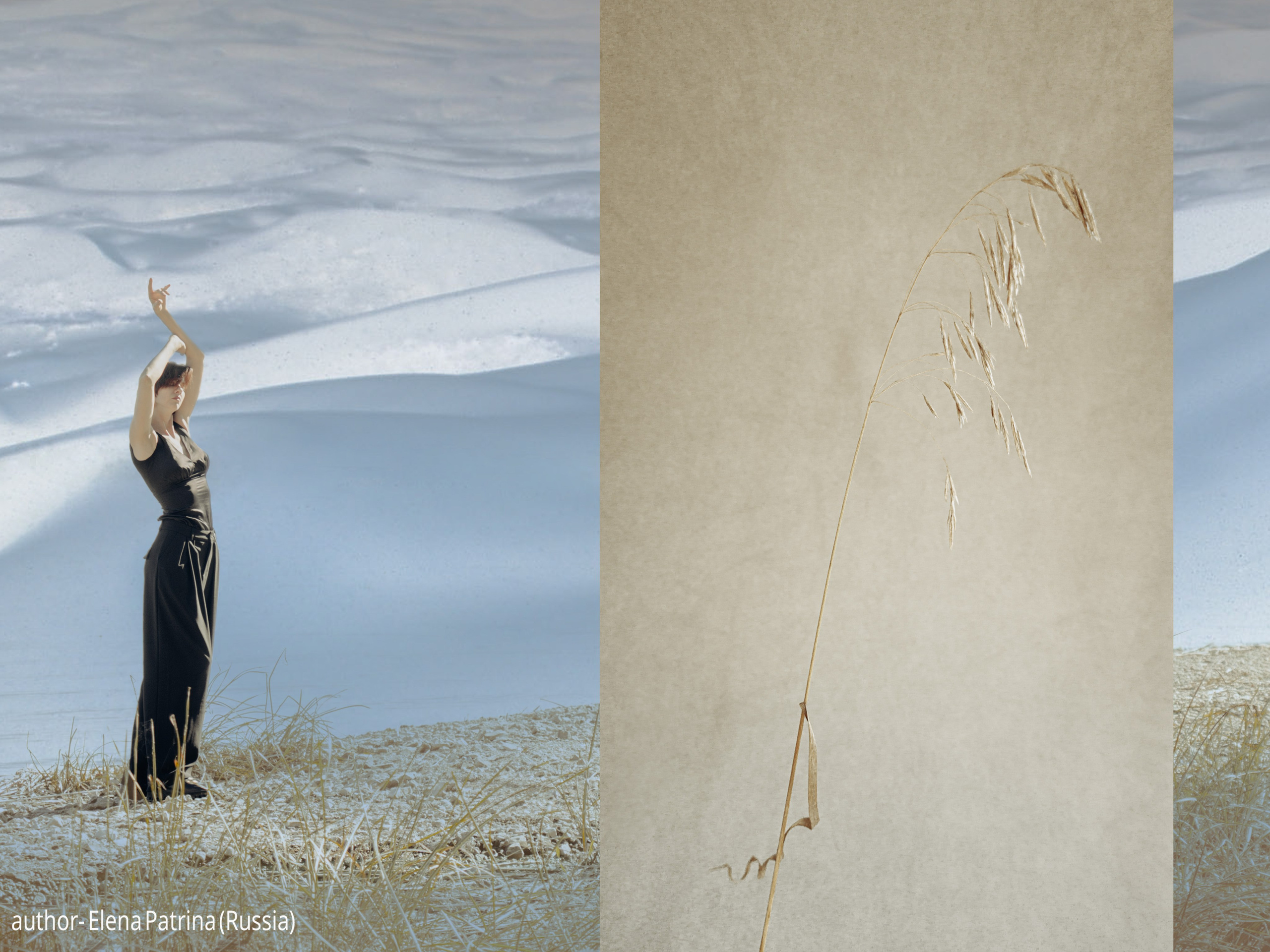 Gallery. UNUSUAL TALENT magazine