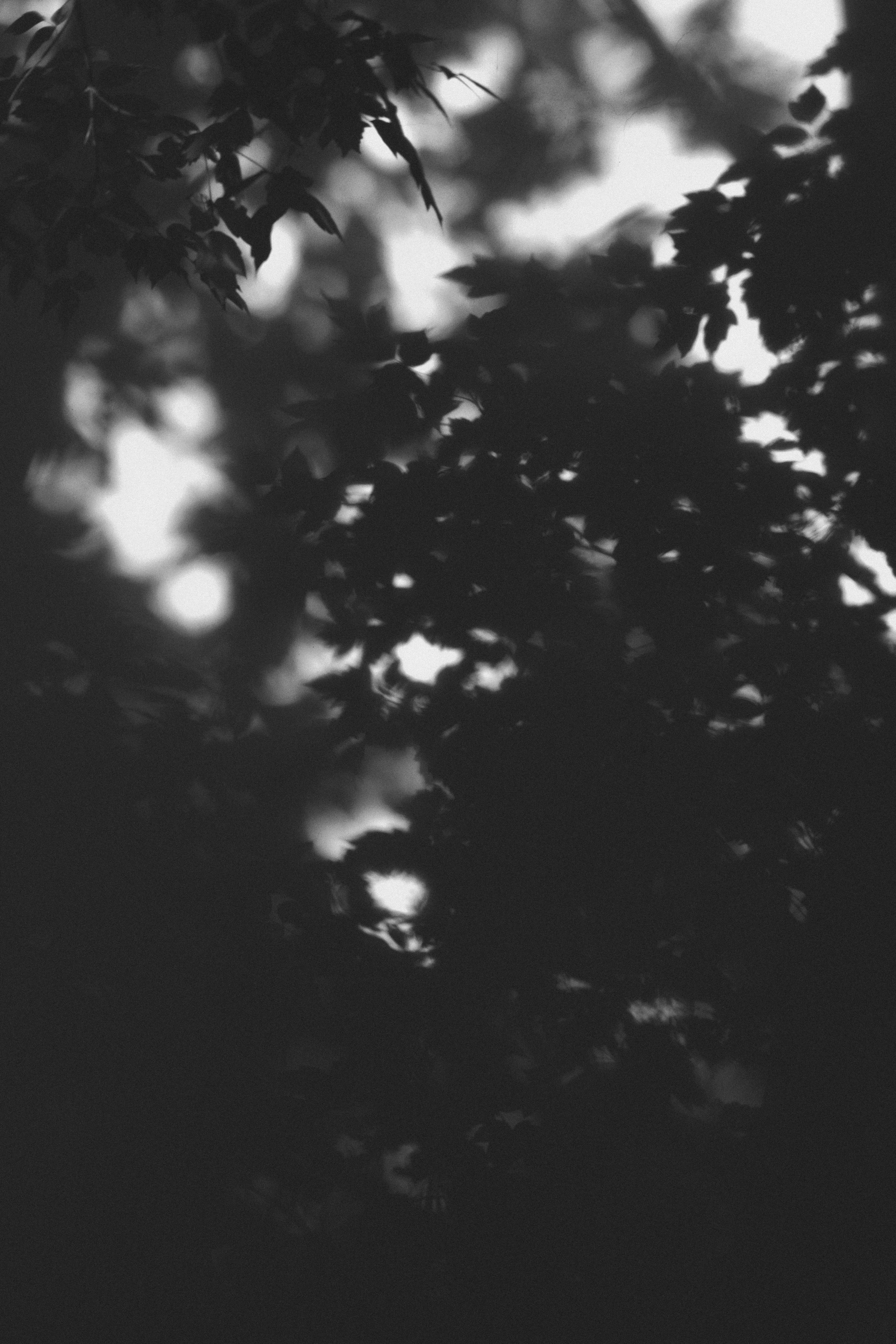 Фотограф красноярск