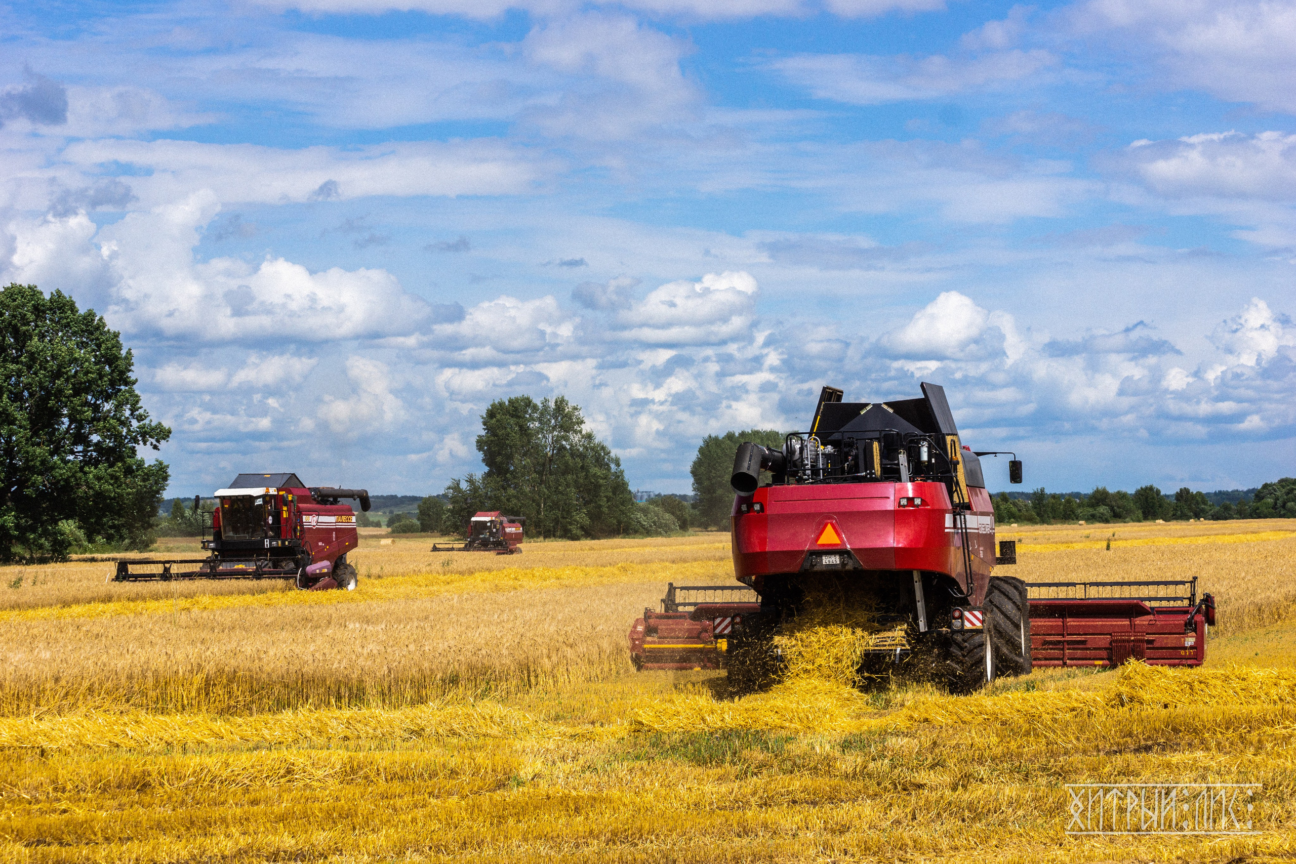 Беларусь. Фотограф-путешественник Самойлов Максим «Sly Fox»