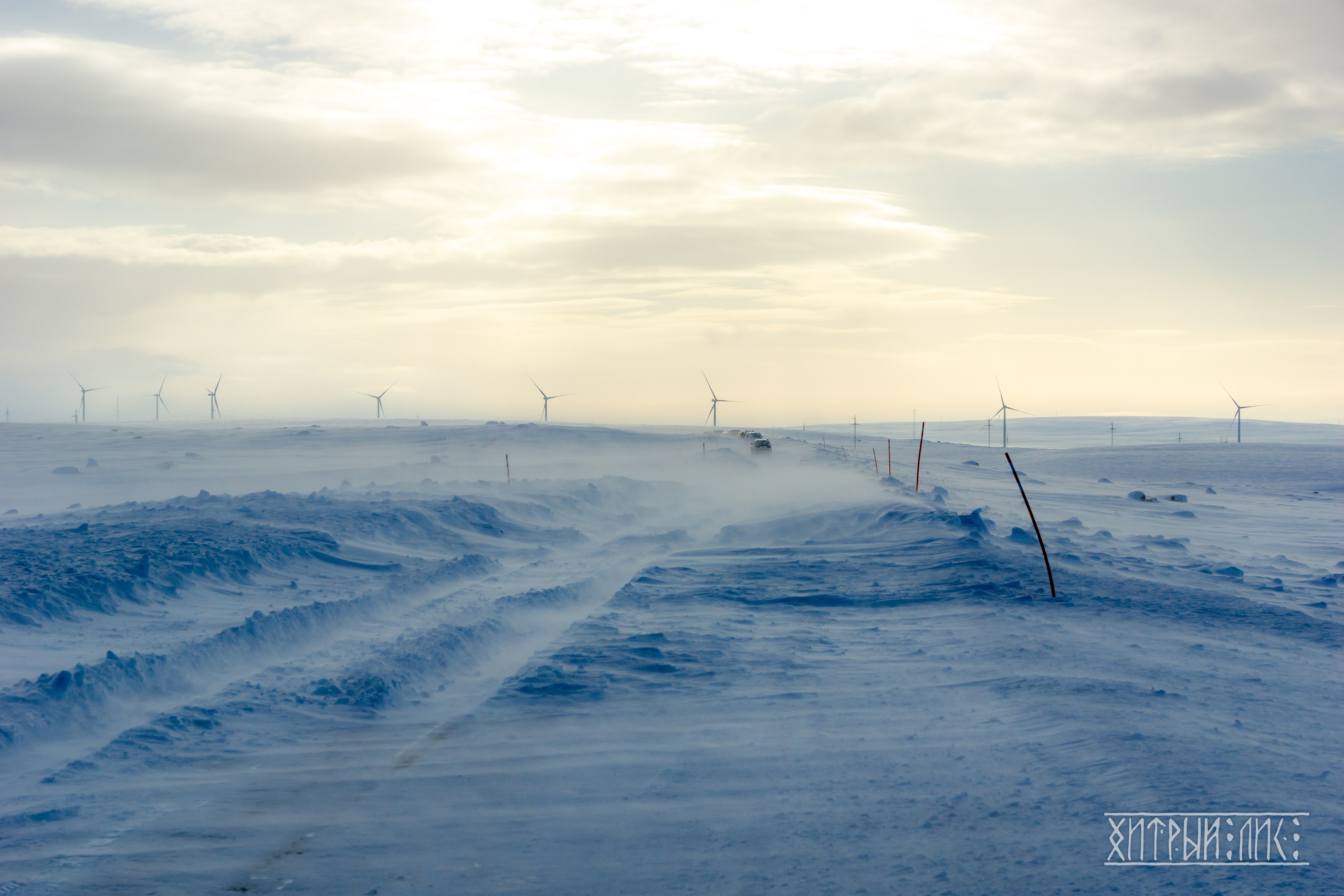 Мурманская обл. Фотограф-путешественник Самойлов Максим «Sly Fox»