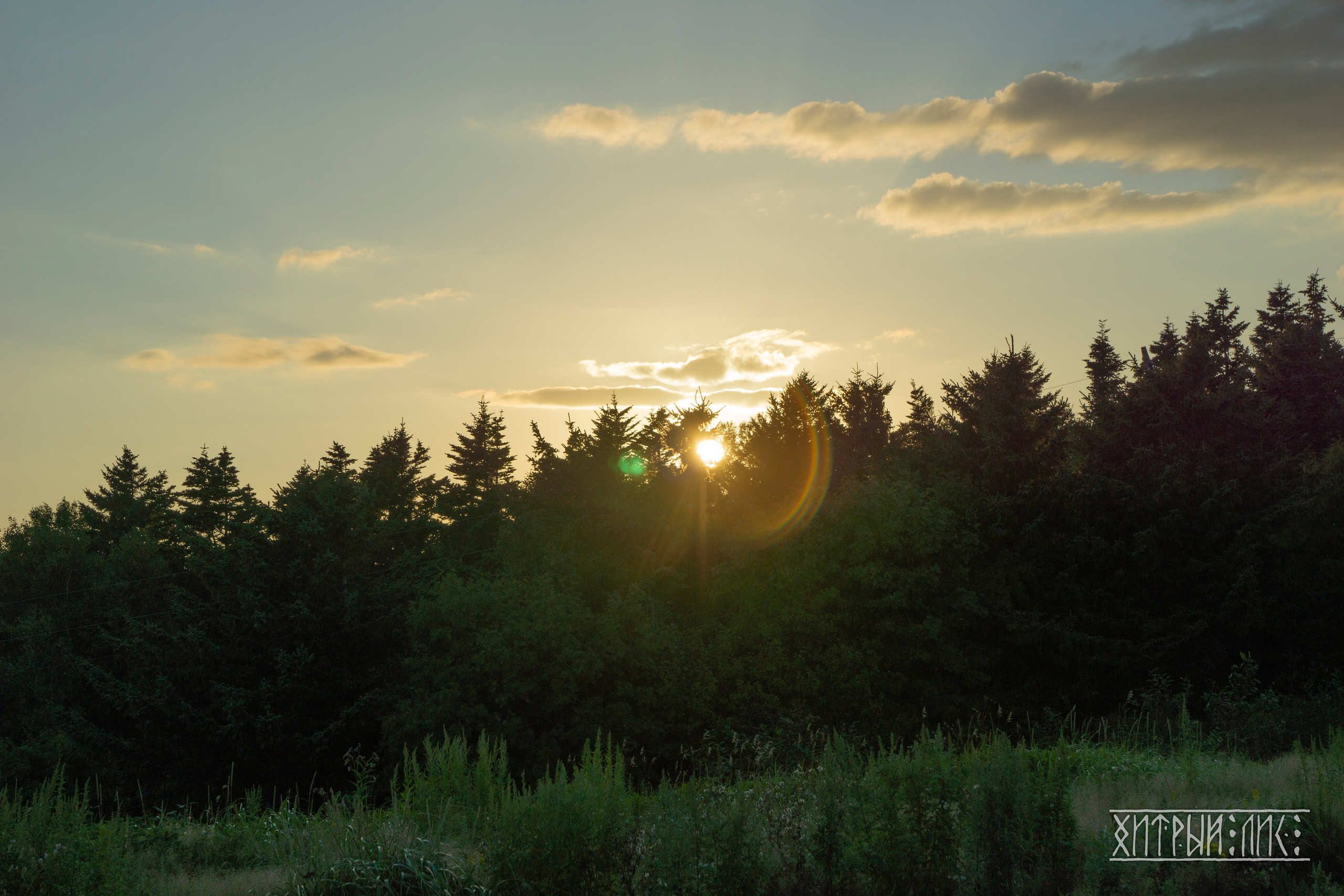 Сахалин. Фотограф-путешественник Самойлов Максим «Sly Fox»