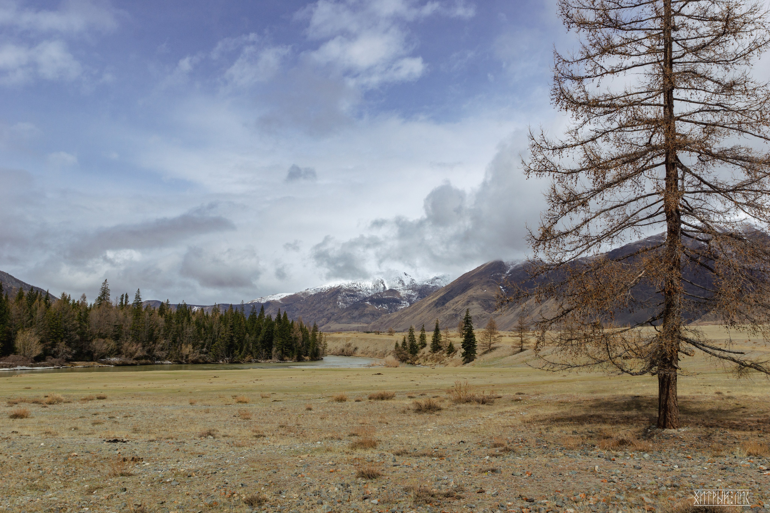 Алтай. Фотограф-путешественник Самойлов Максим «Sly Fox»