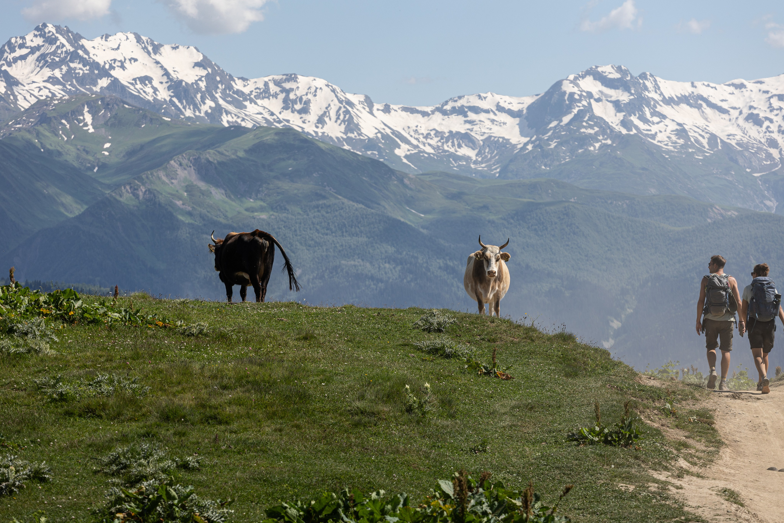 Грузия. Добродеева Алла фотограф, Москва