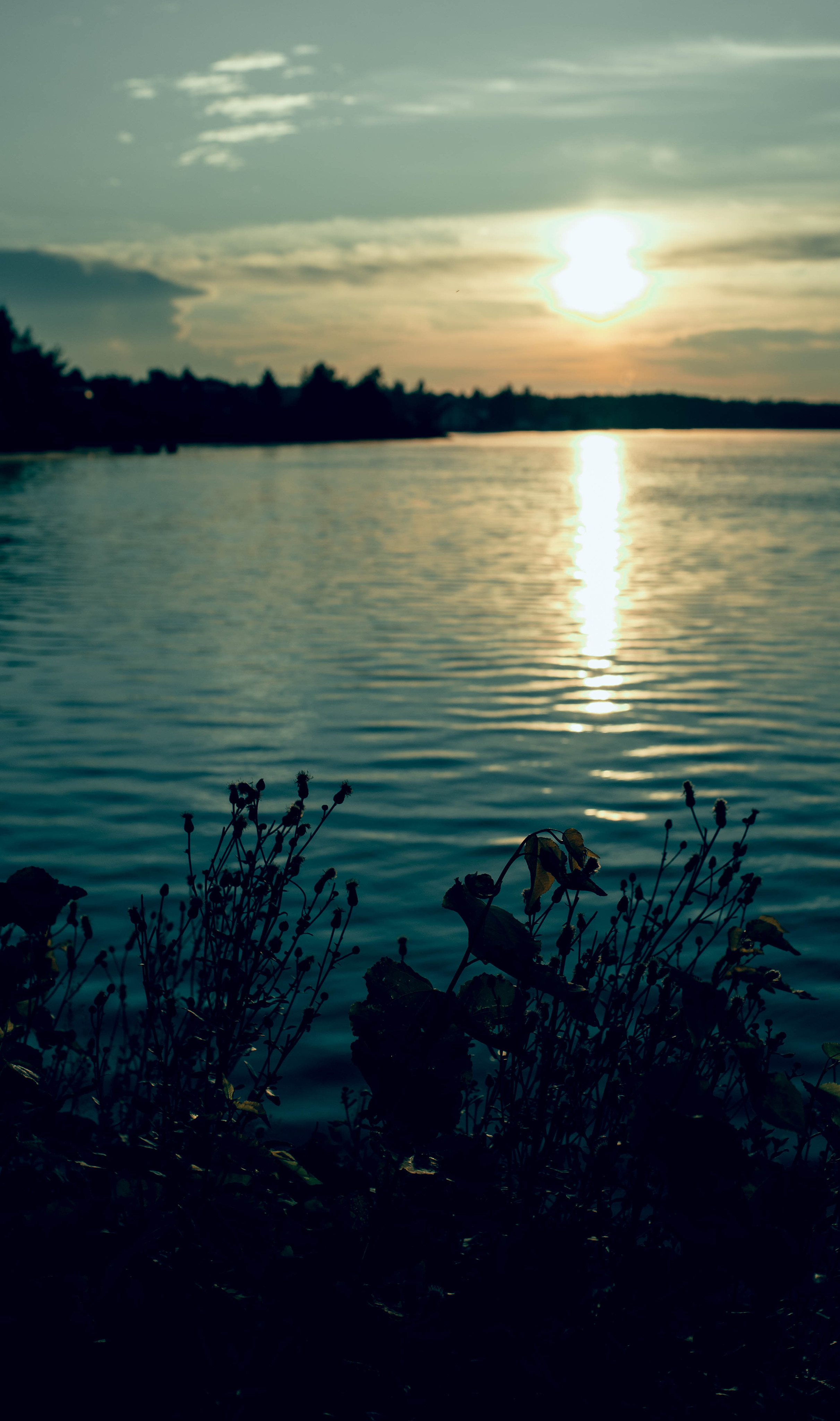 Нимфы. Женский и семейный фотограф в Сургуте Ольга БорОдько