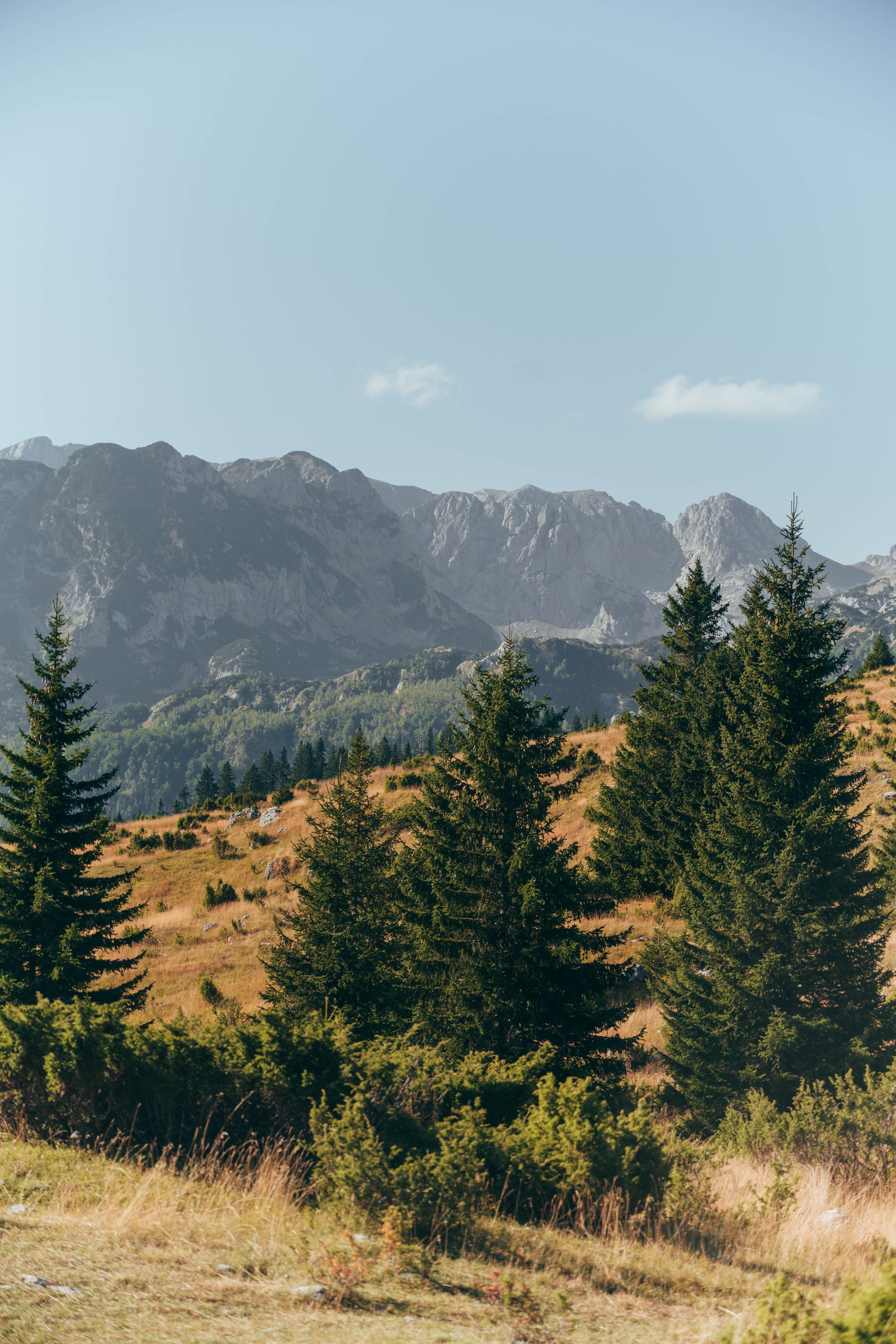 ЦРВЕНА ГРЕДА. ЧЕРНОГОРИЯ. Фотограф в Белграде Чугреева Елена