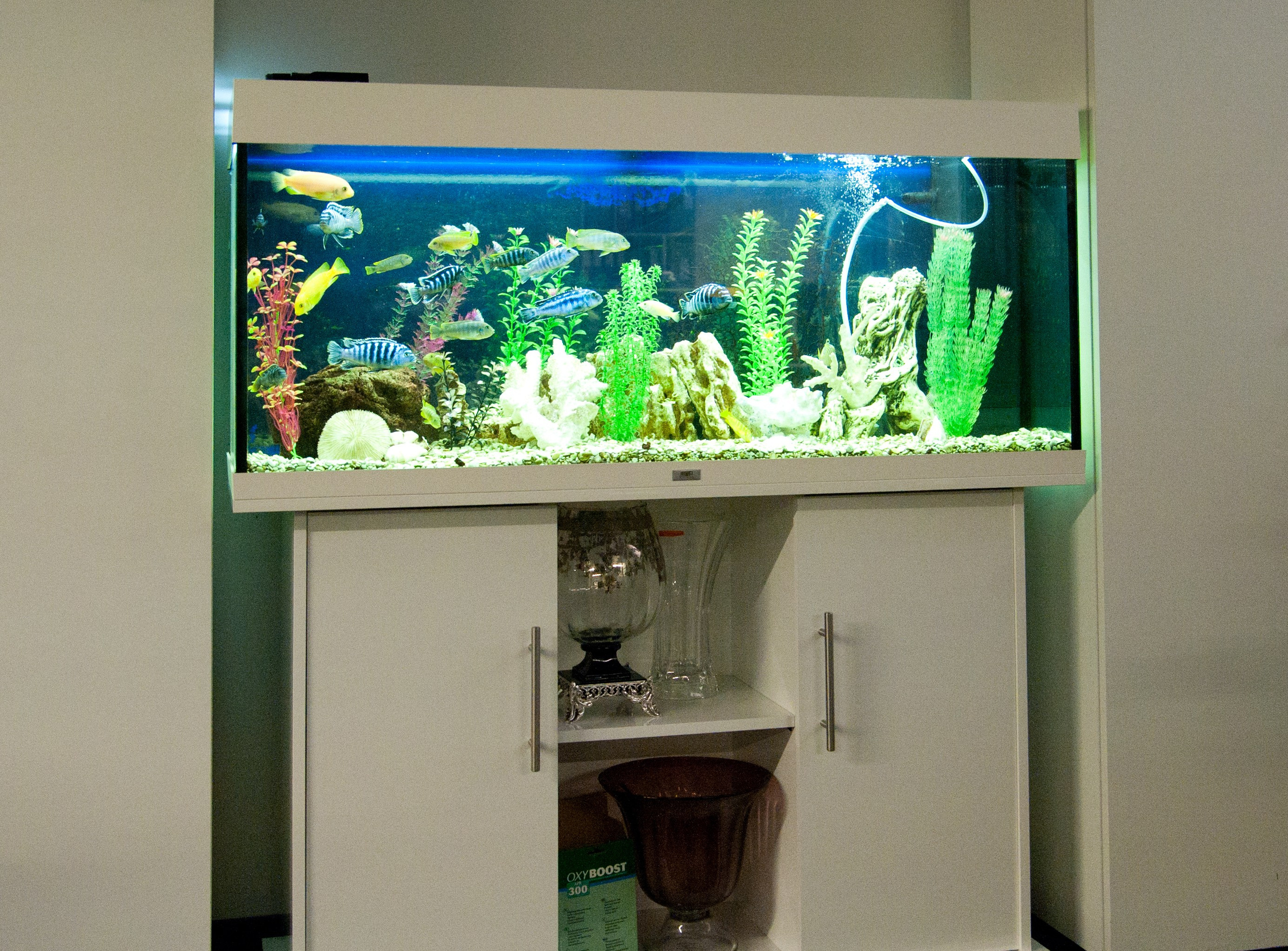 Офис москоу сити. Профессиональный фотограф в Москве Александра Харламова