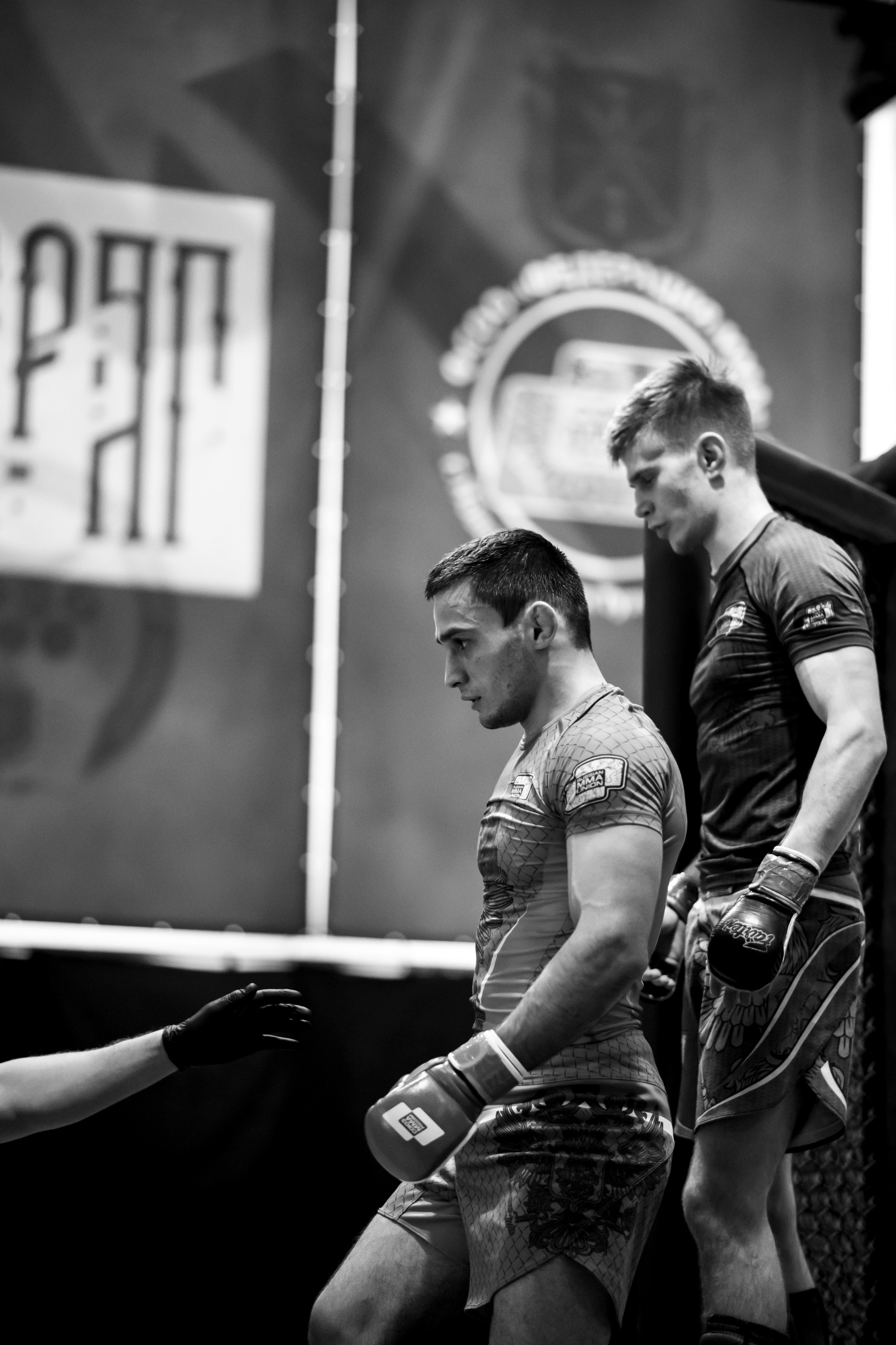 Всероссийский турнир ММА. Новомосковск, ноябрь 2025. Спортивный фотограф в Туле и Тульской области. Файсханова Фото Спорт