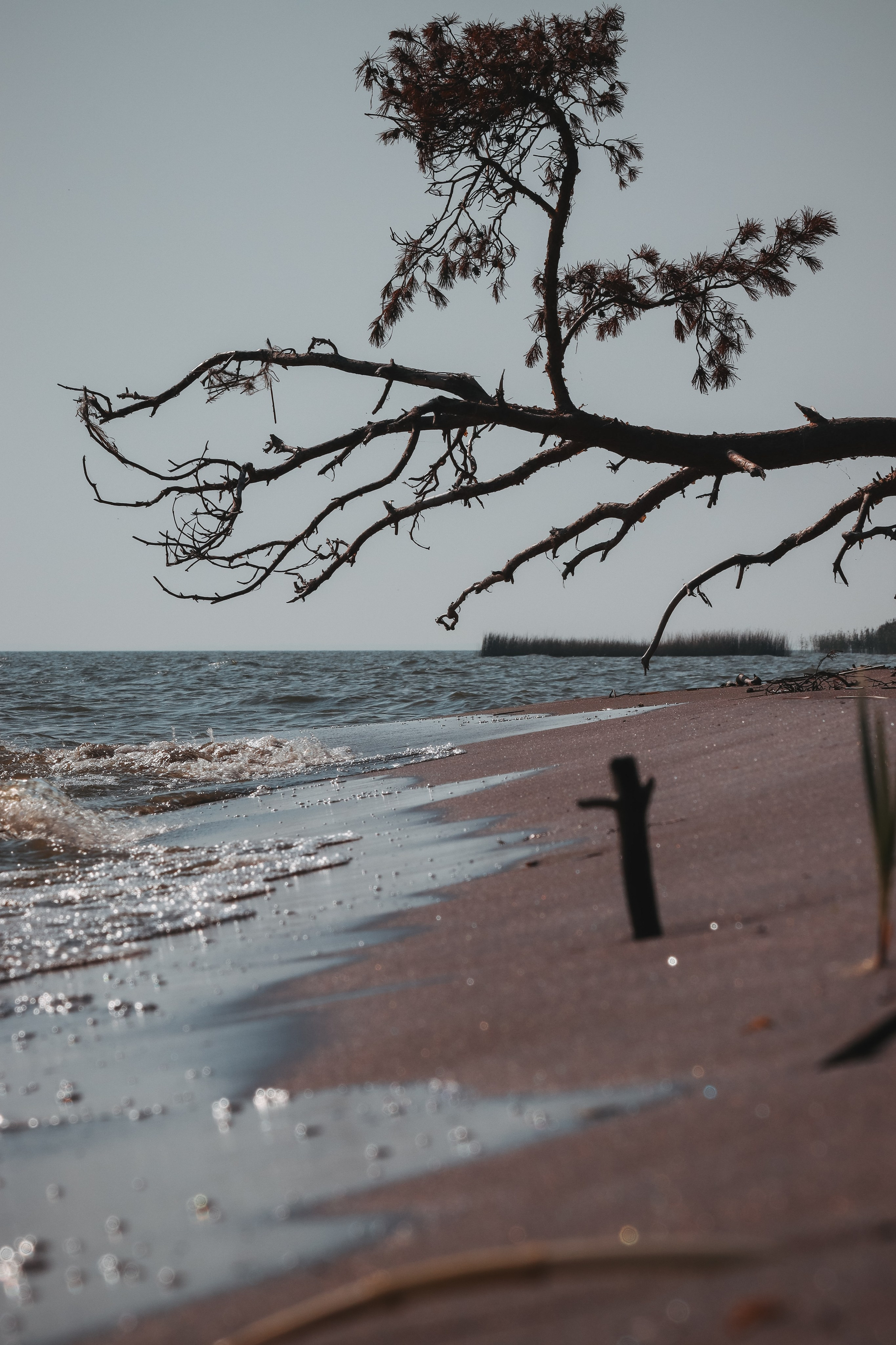 П Е Й З А Ж Н Ы Е. — Digital Noise —