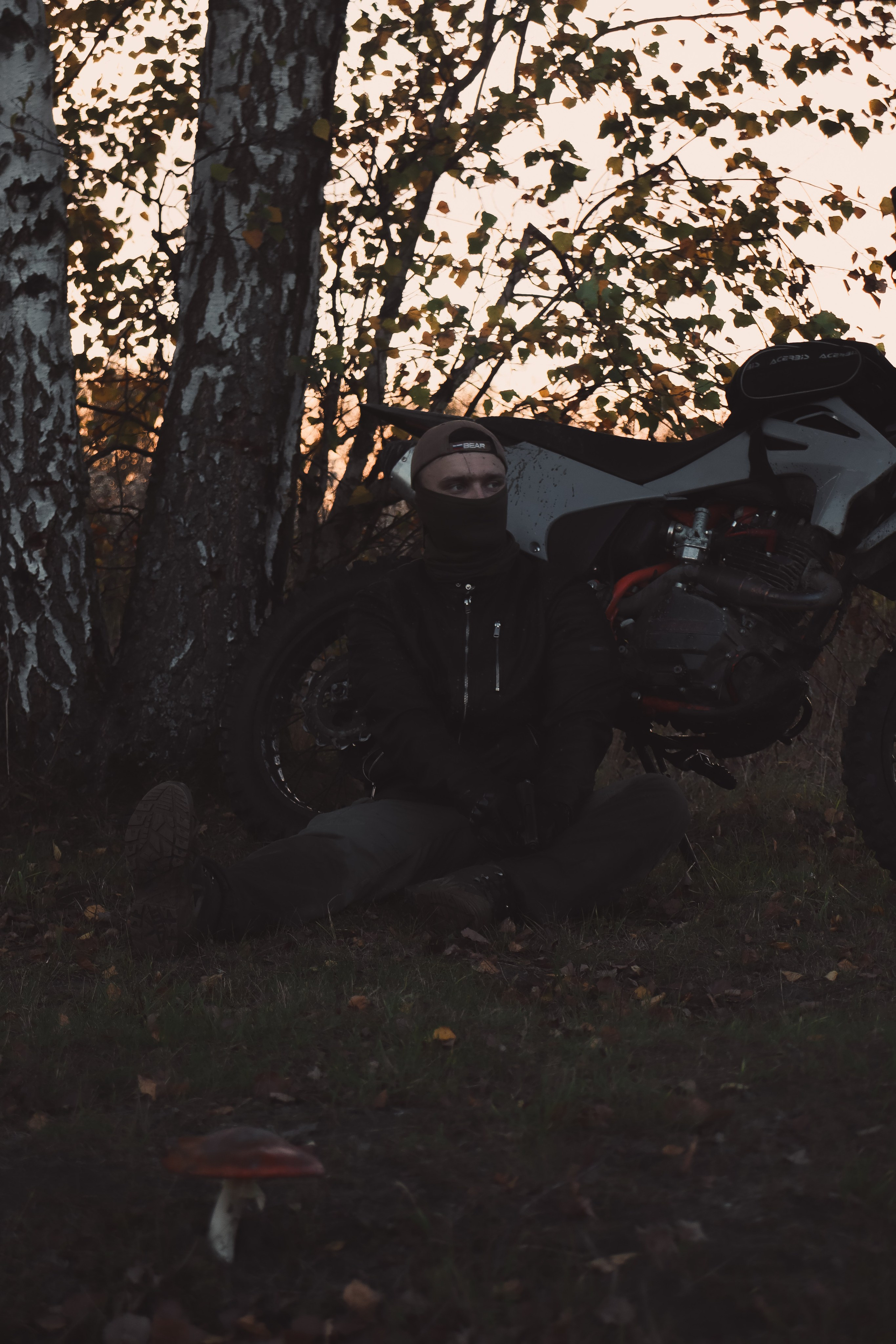 Никита П. (Daryl Dixon). — Digital Noise —