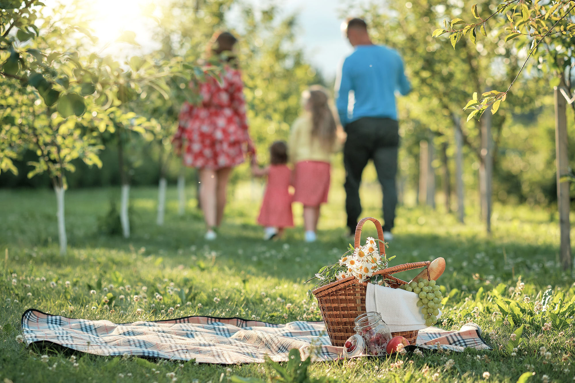 Съёмка на улице. Выпускной альбом Выборг, Каменногорск, Светогорск, Санкт-Петербург