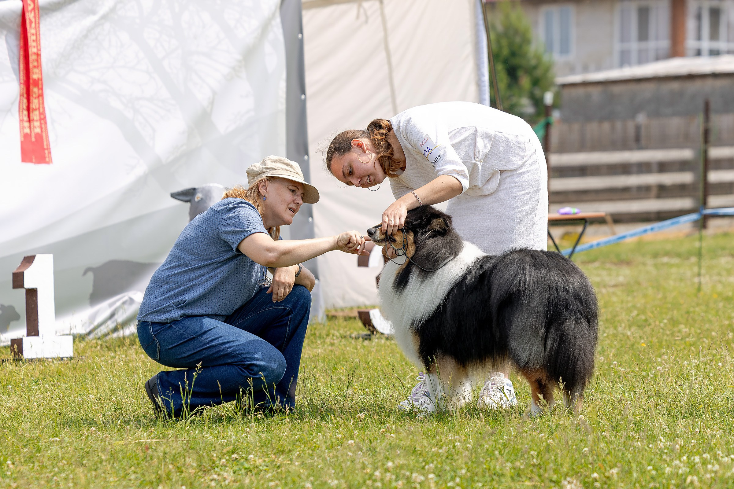 12 июня 2025, Выставка РКФ, Пермский край. Htykk_photo