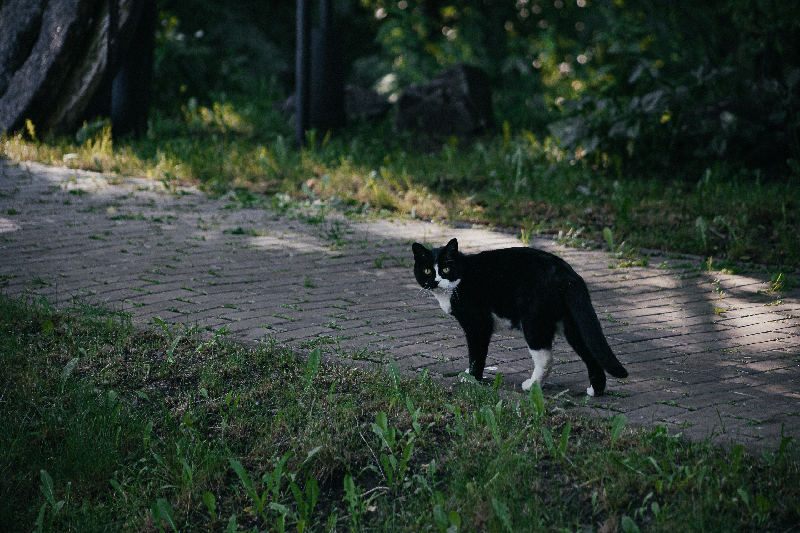 Виталий & Валерия. Фотограф Егор Сухов