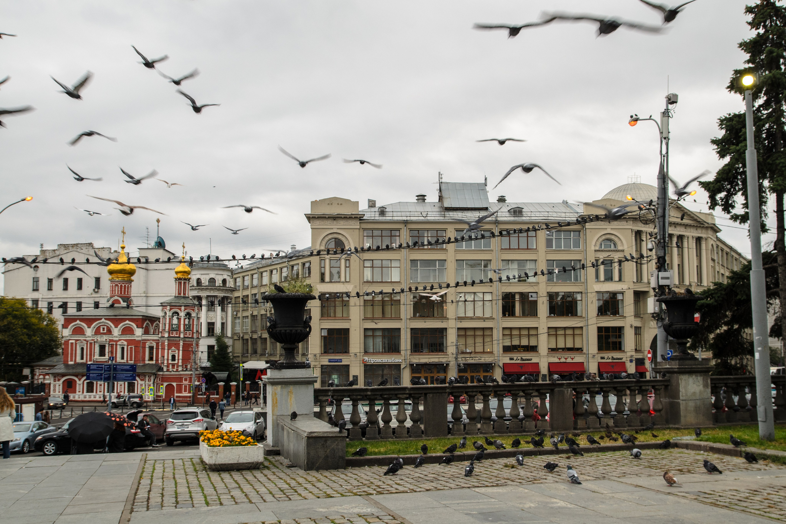 Репортаж. Фото, видео, монтаж
