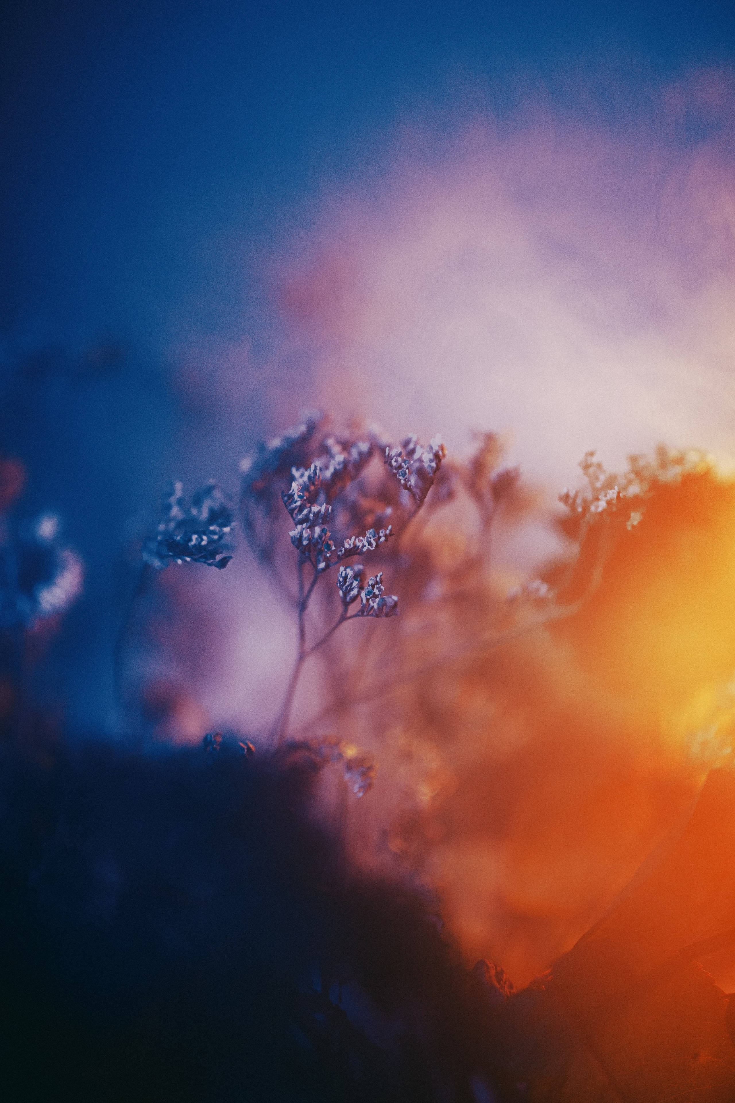 Автор: Кир Пьянков