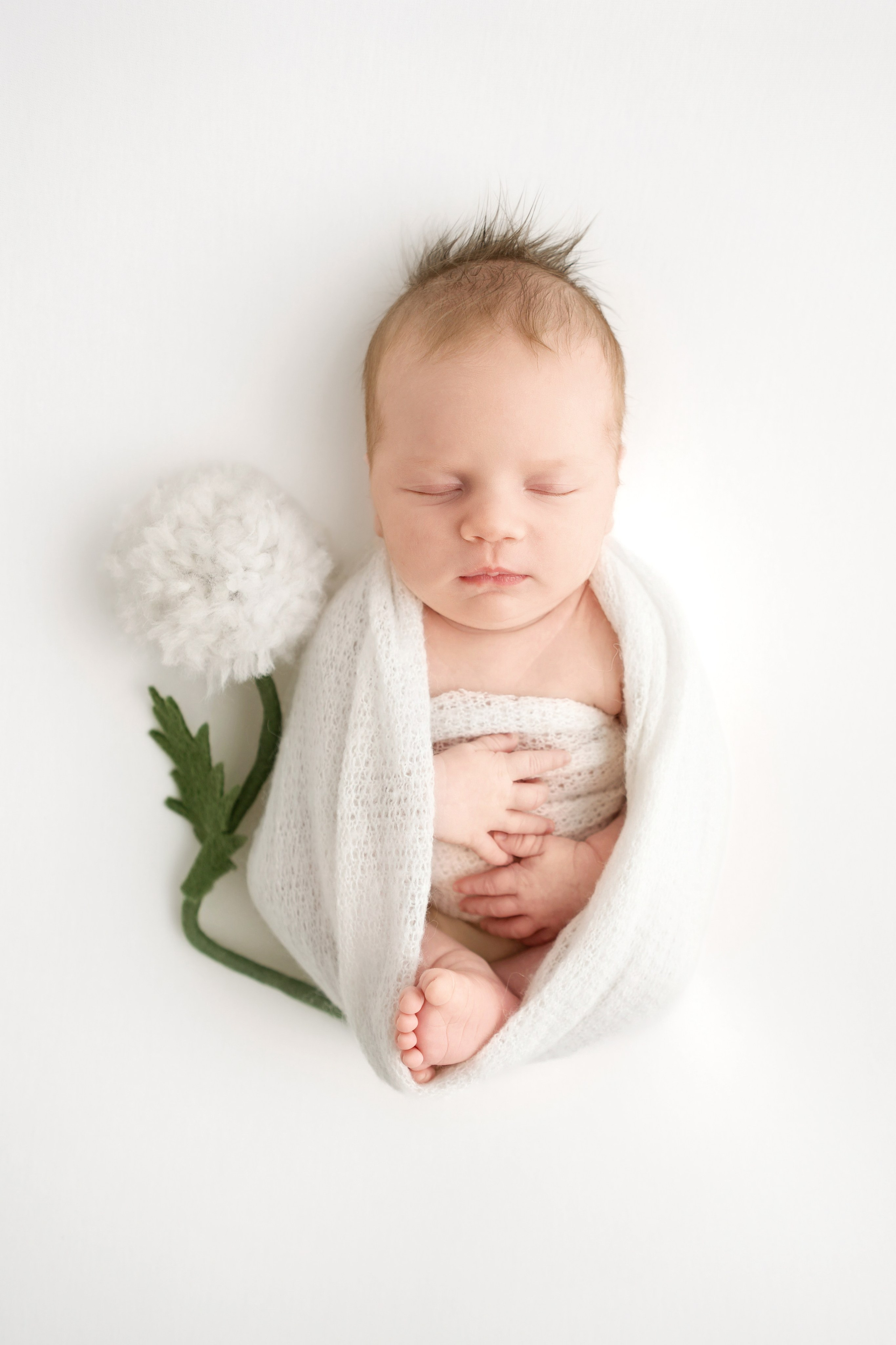 Фотосессия новорожденного. Профессиональный фотограф новорожденных Тверь