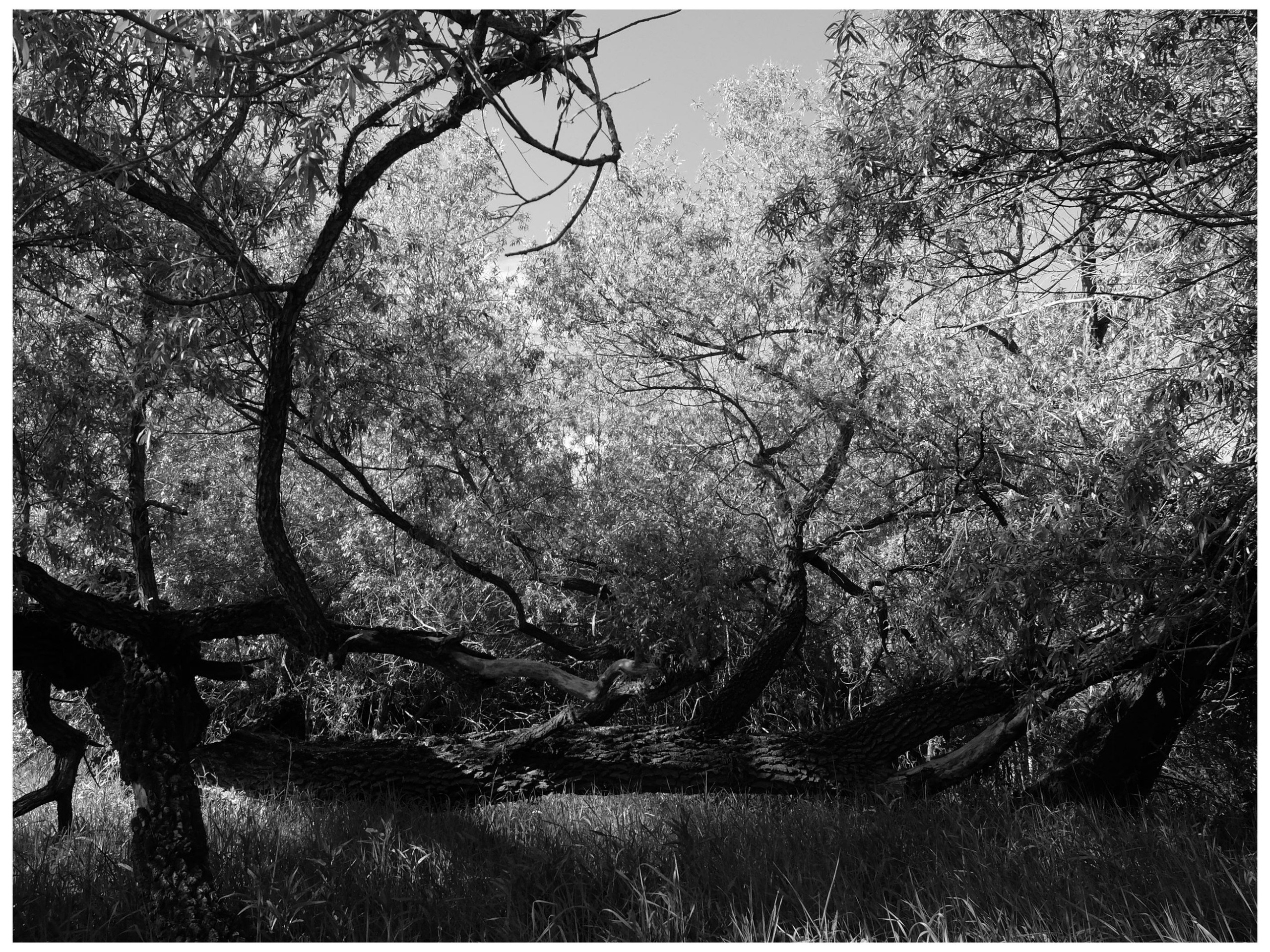 Промежуточные моменты (2022)