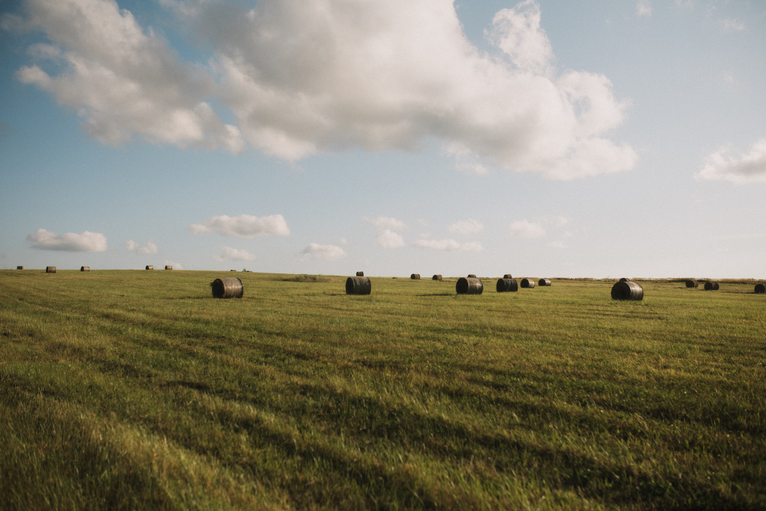 Kseniya. Свадебный и портретный фотограф в Калининграде и Москве Марк Юдинцев