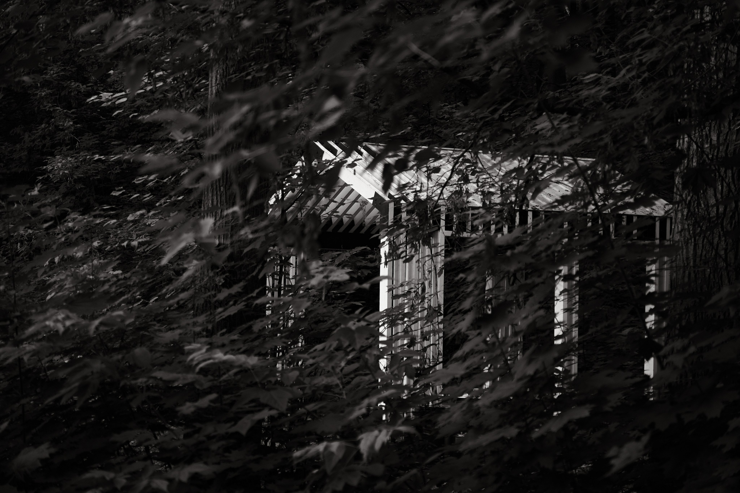 Прогулка по Воробьёвым горам. Фотограф Михаил Ерохин | Москва