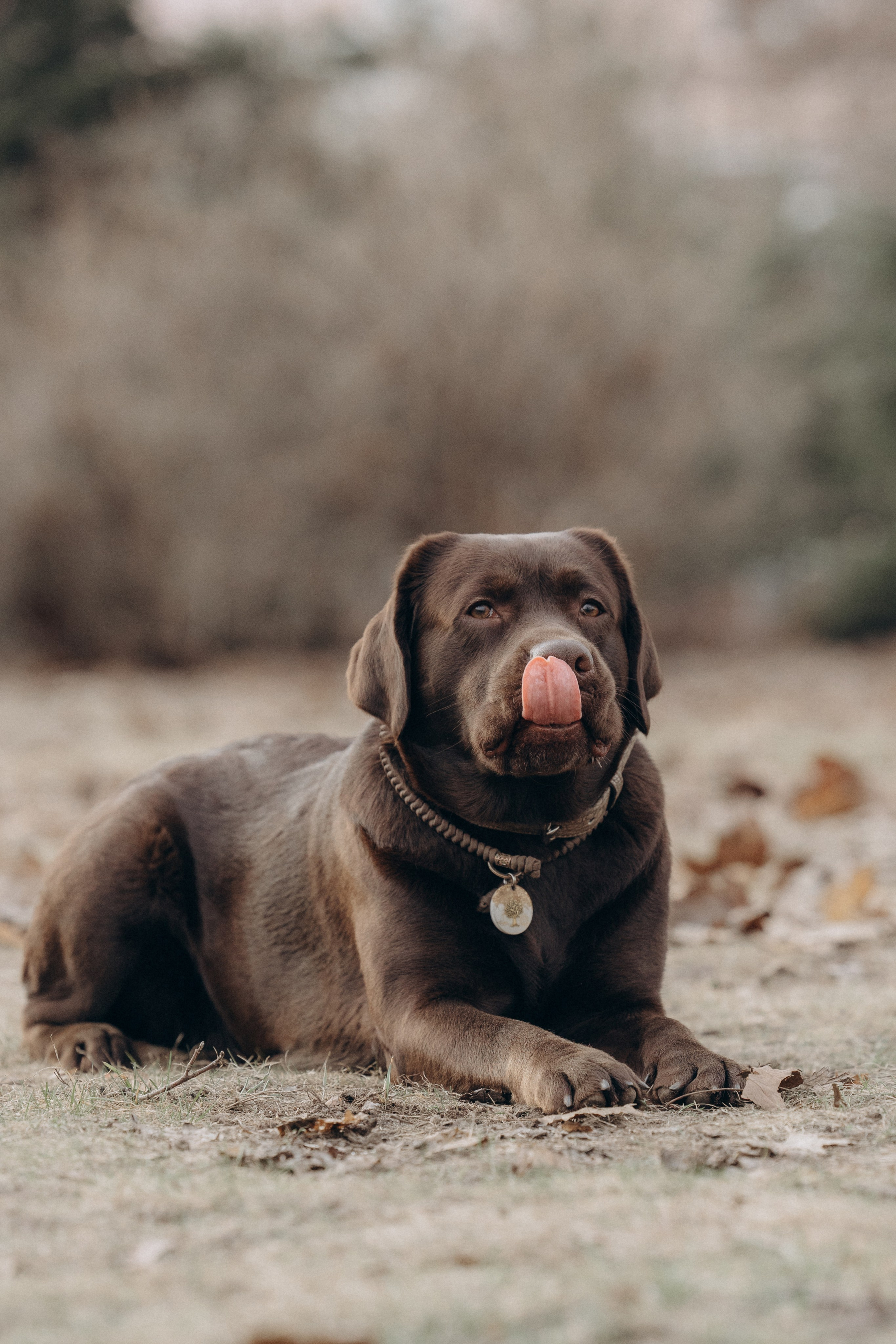 Наталия и Пальма в парке. Фотограф анималист в Казани Алина Сулейманова. Фотограф животных