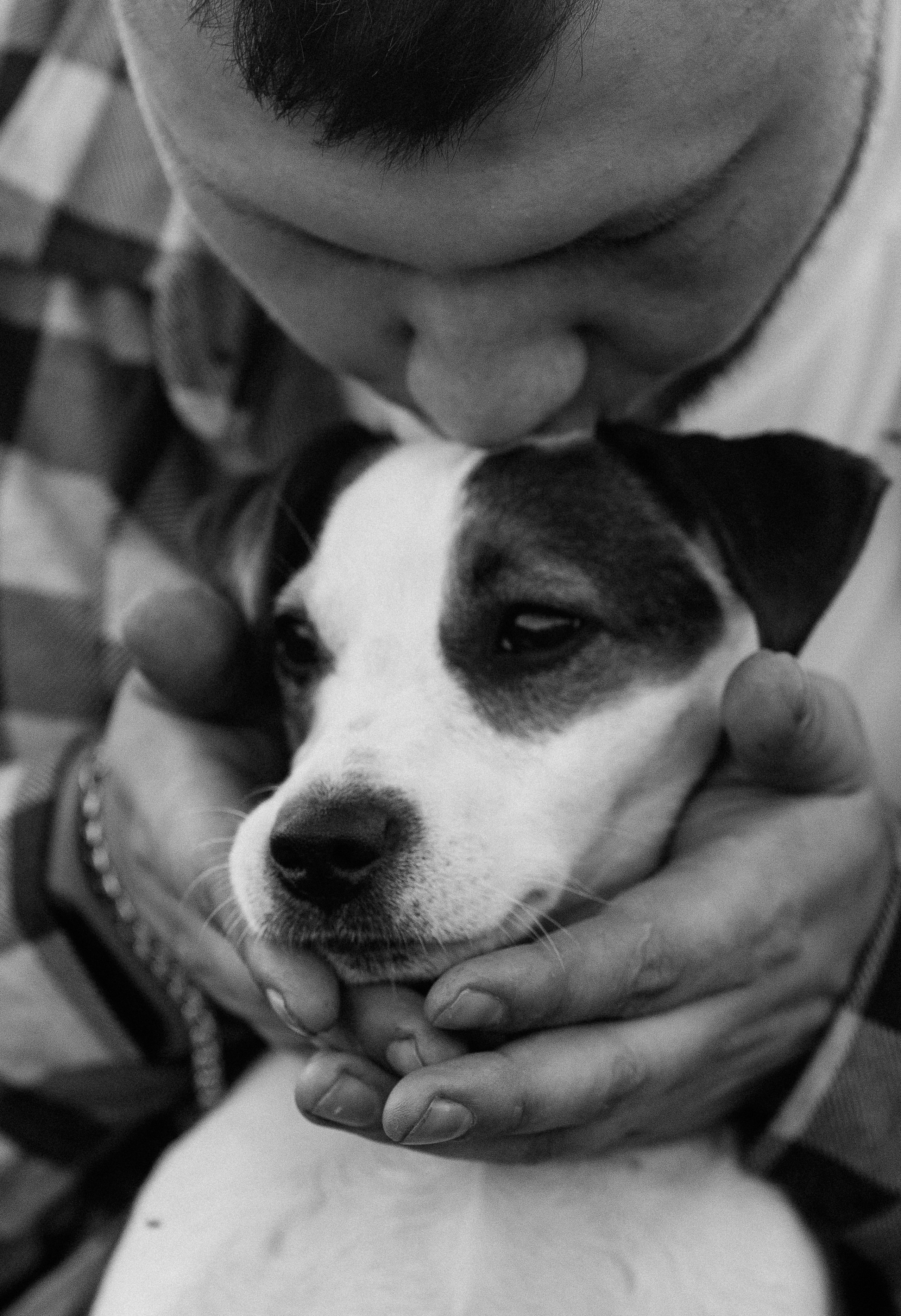 Ольга с семьёй июнь 2023 год. Свадебный и семейный фотограф Кристина Лисина в Арзамасе