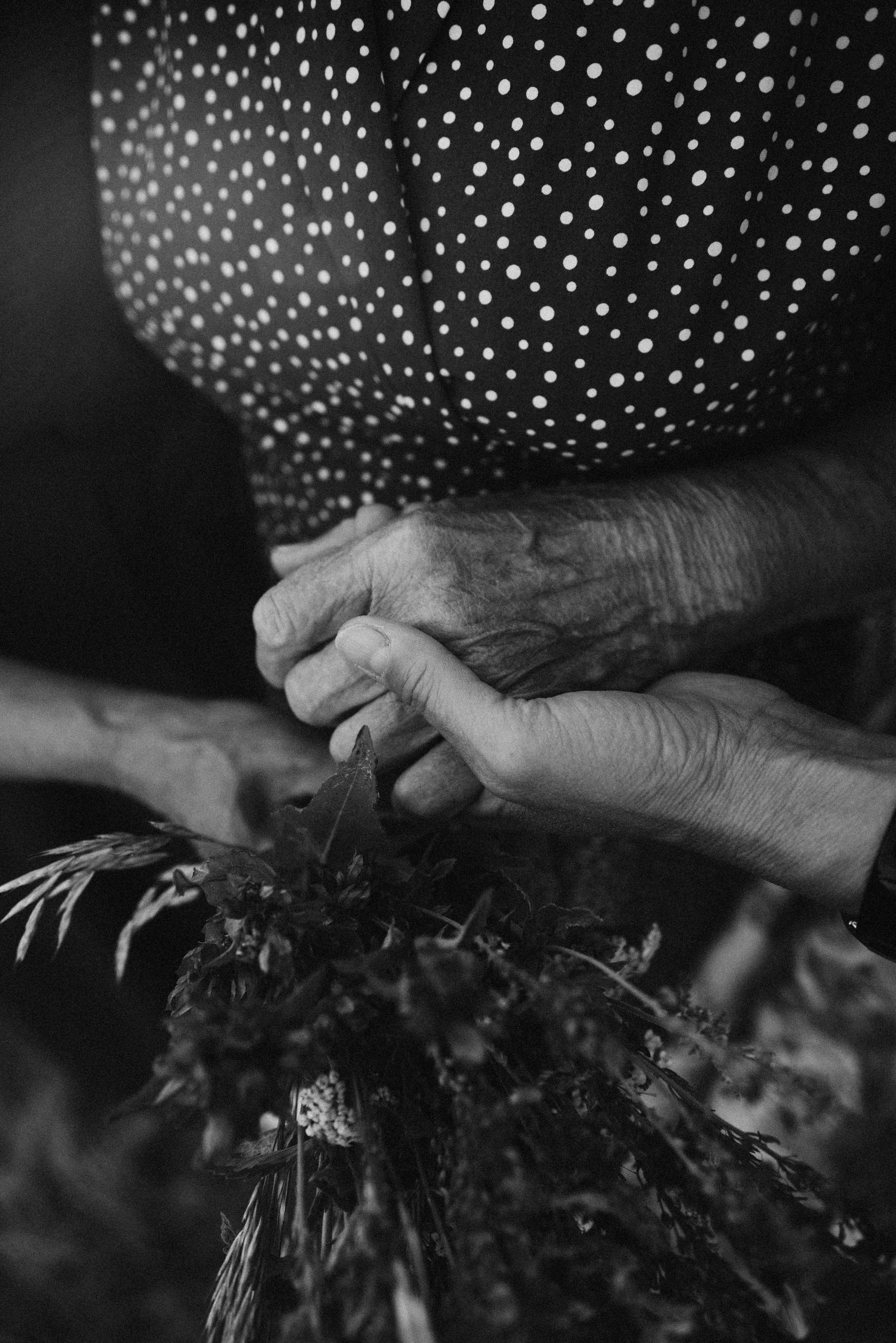 Альбом16. Свадебный и семейный фотограф Кристина Лисина в Арзамасе