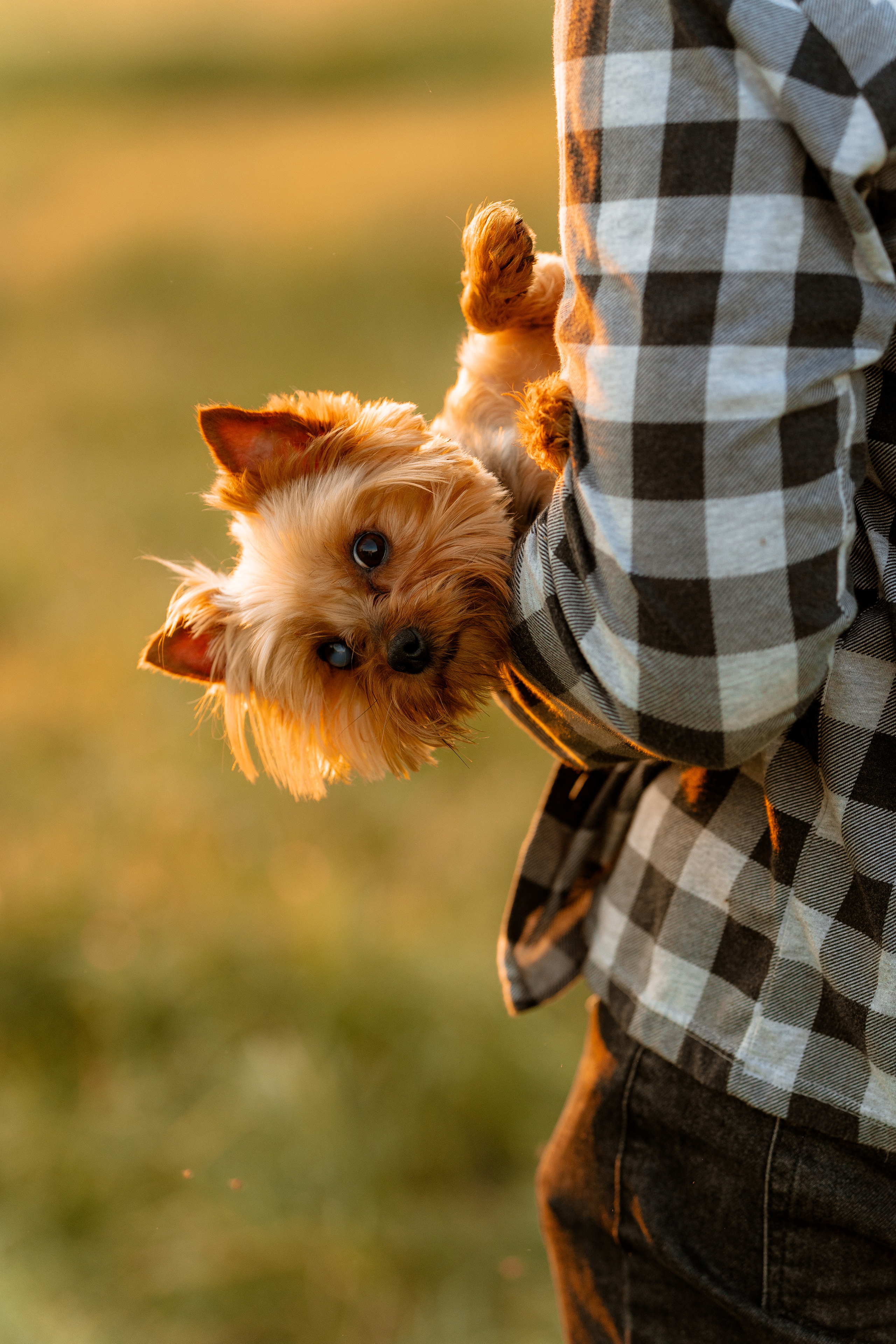 Ольга с семьёй июнь 2023 год. Свадебный и семейный фотограф Кристина Лисина в Арзамасе