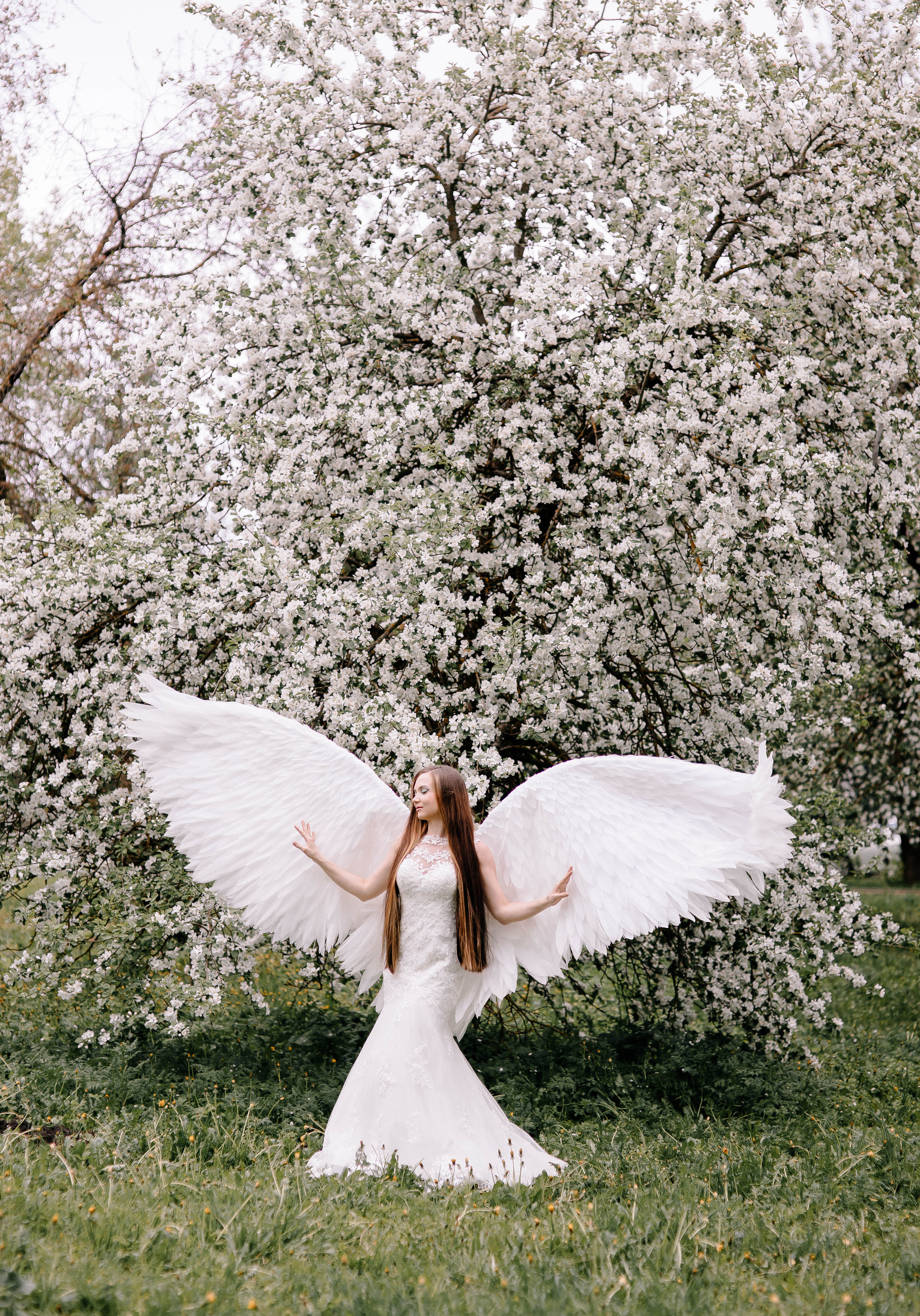 Фотосессия с крыльями ангела. Ангел. Крылья в аренду. Фотосессии Фотодни Псков СПб