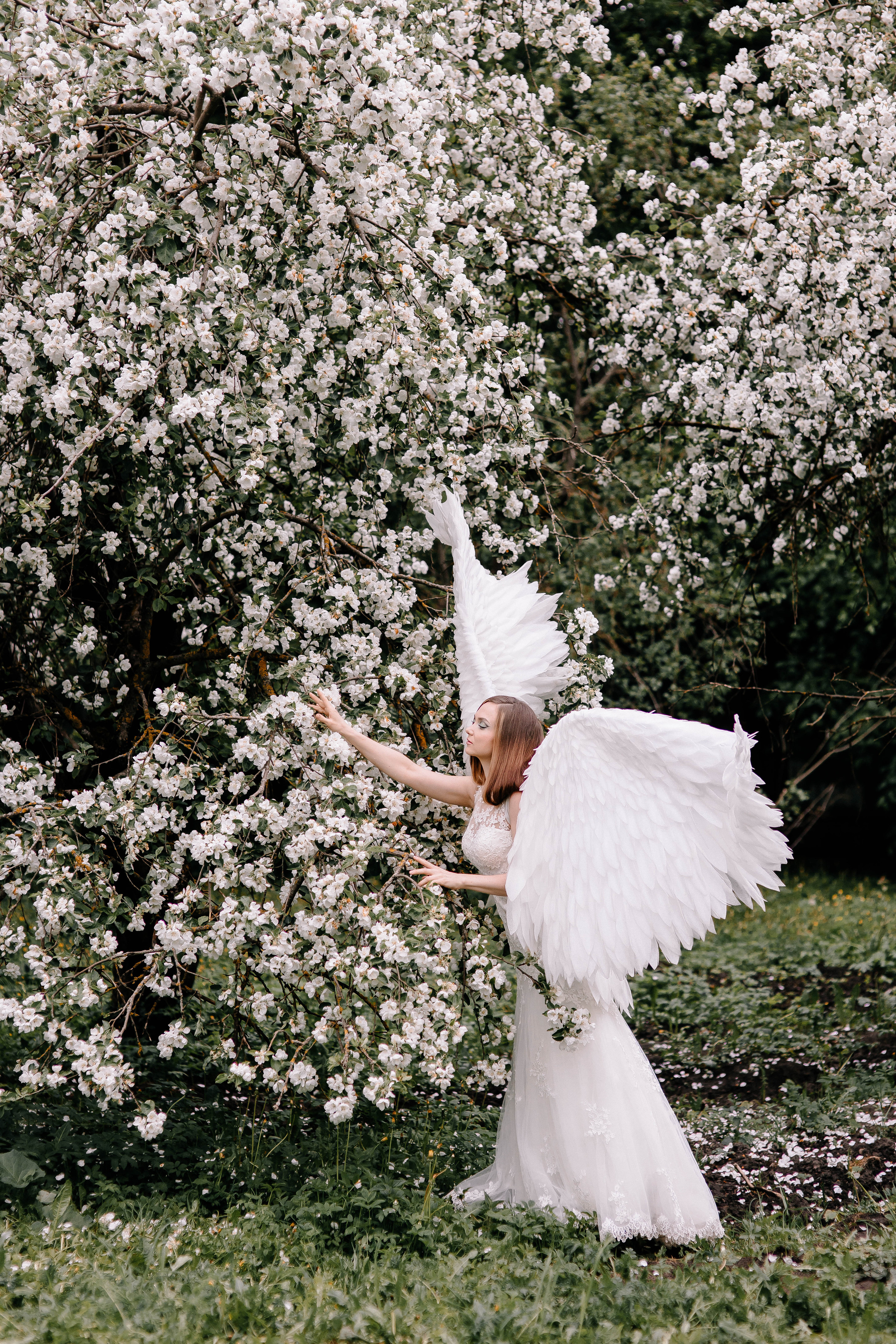 Фотосессия с крыльями ангела. Ангел. Крылья в аренду. Фотосессии Фотодни Псков СПб