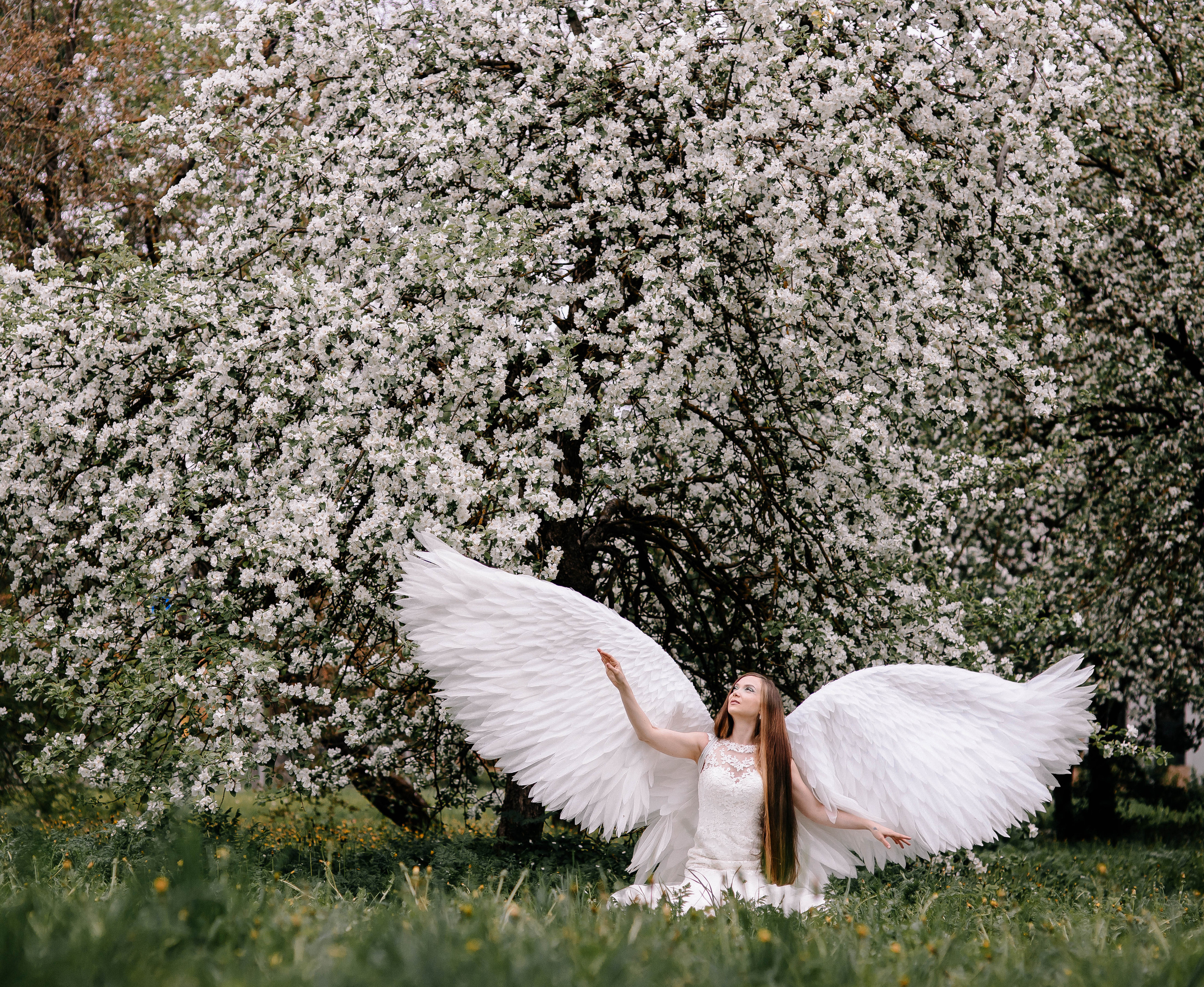 Фотосессия с крыльями ангела. Ангел. Крылья в аренду. Фотосессии Фотодни Псков СПб