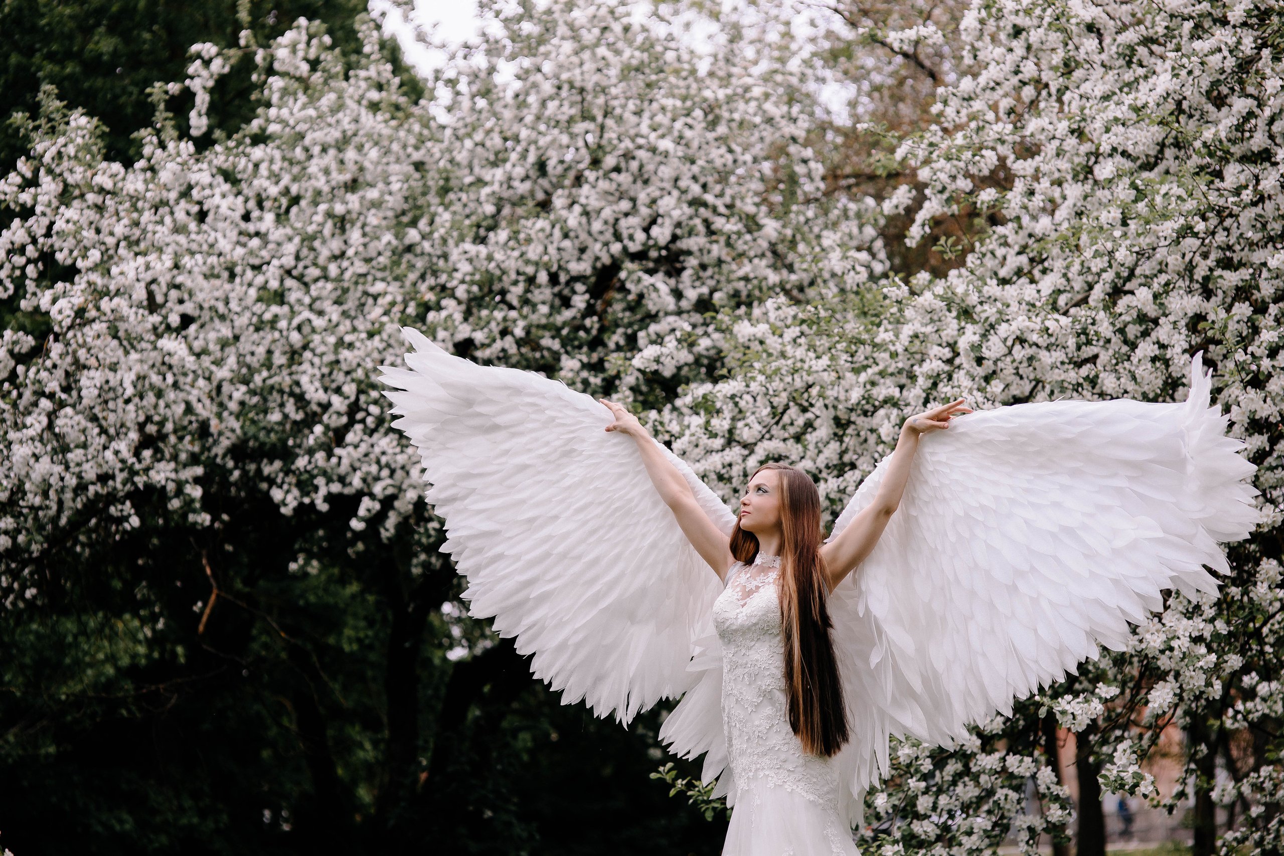 Фотосессия с крыльями ангела. Ангел. Крылья в аренду. Фотосессии Фотодни Псков СПб