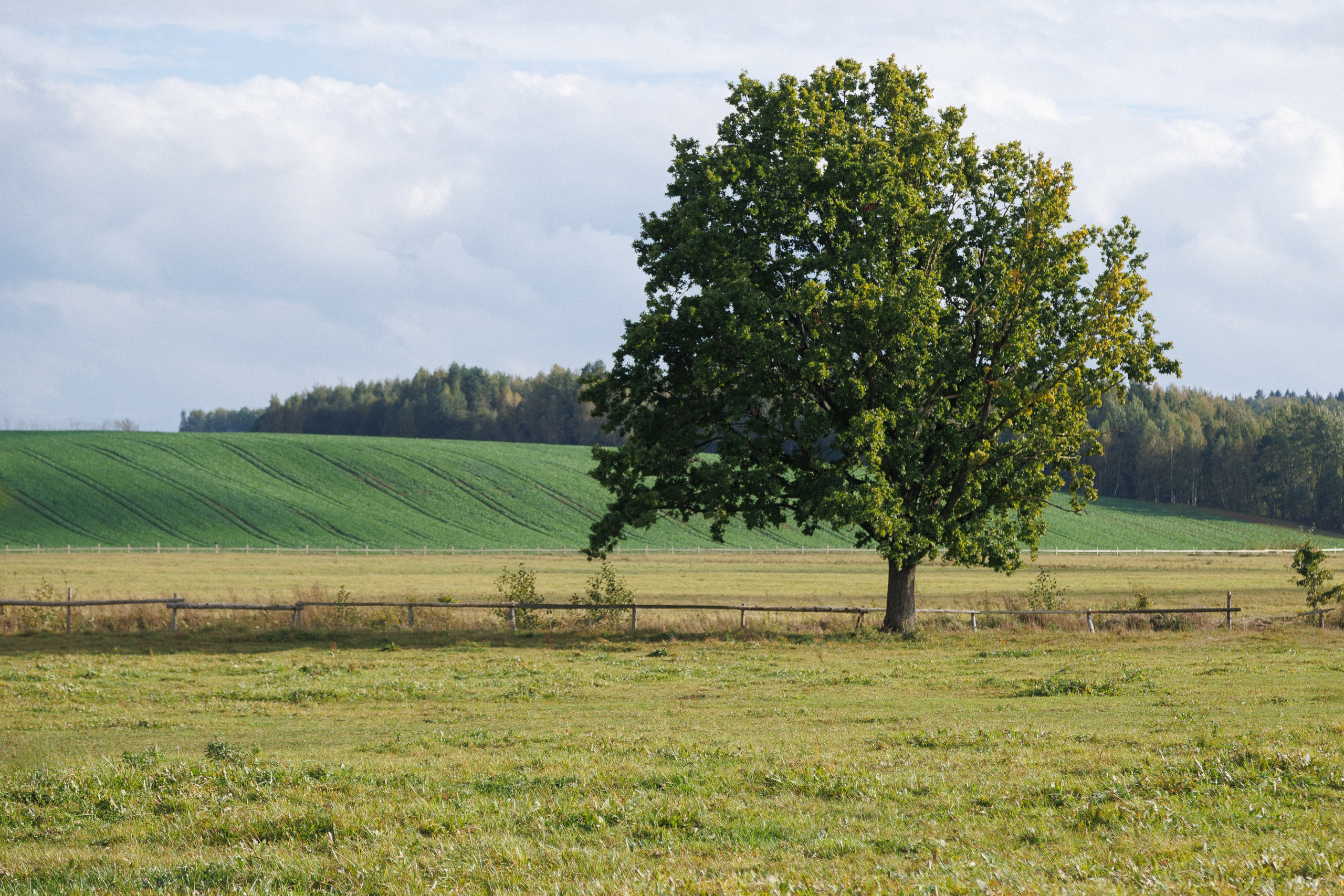 Съемка для брэндов. Репортажный фотограф Александр Задорин, Минск, Беларусь