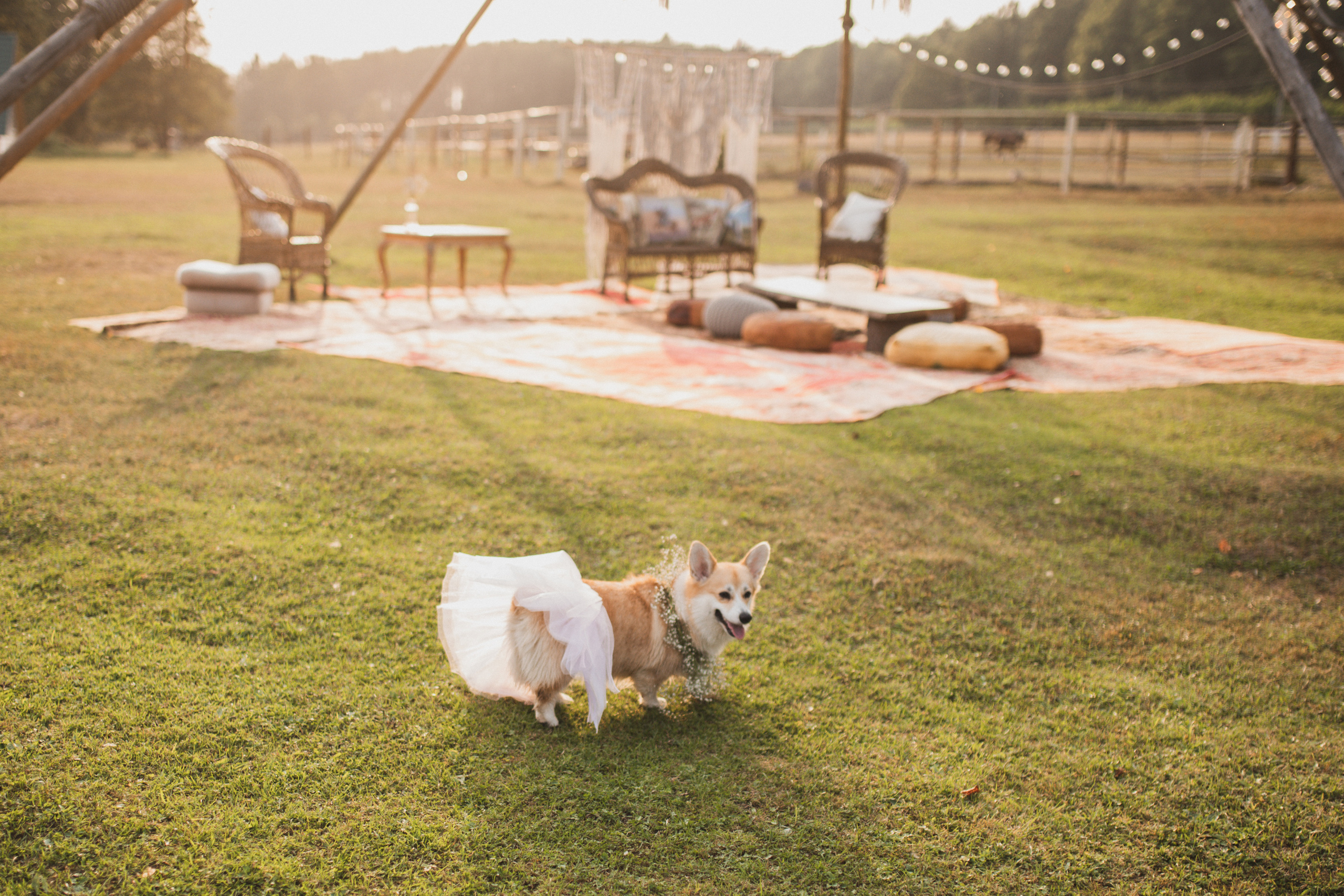 Девичник. Фотограф в Москве и Серпухове Анастасия Руднева