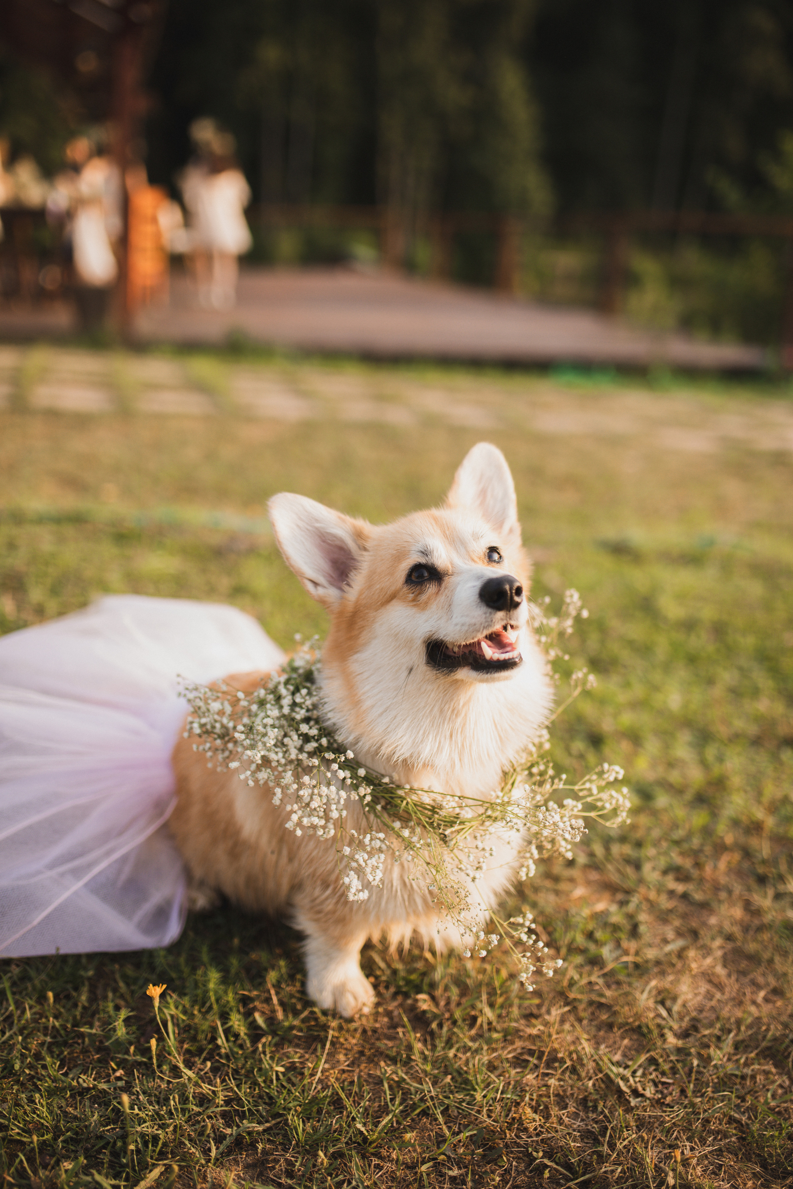 Девичник. Фотограф в Москве и Серпухове Анастасия Руднева