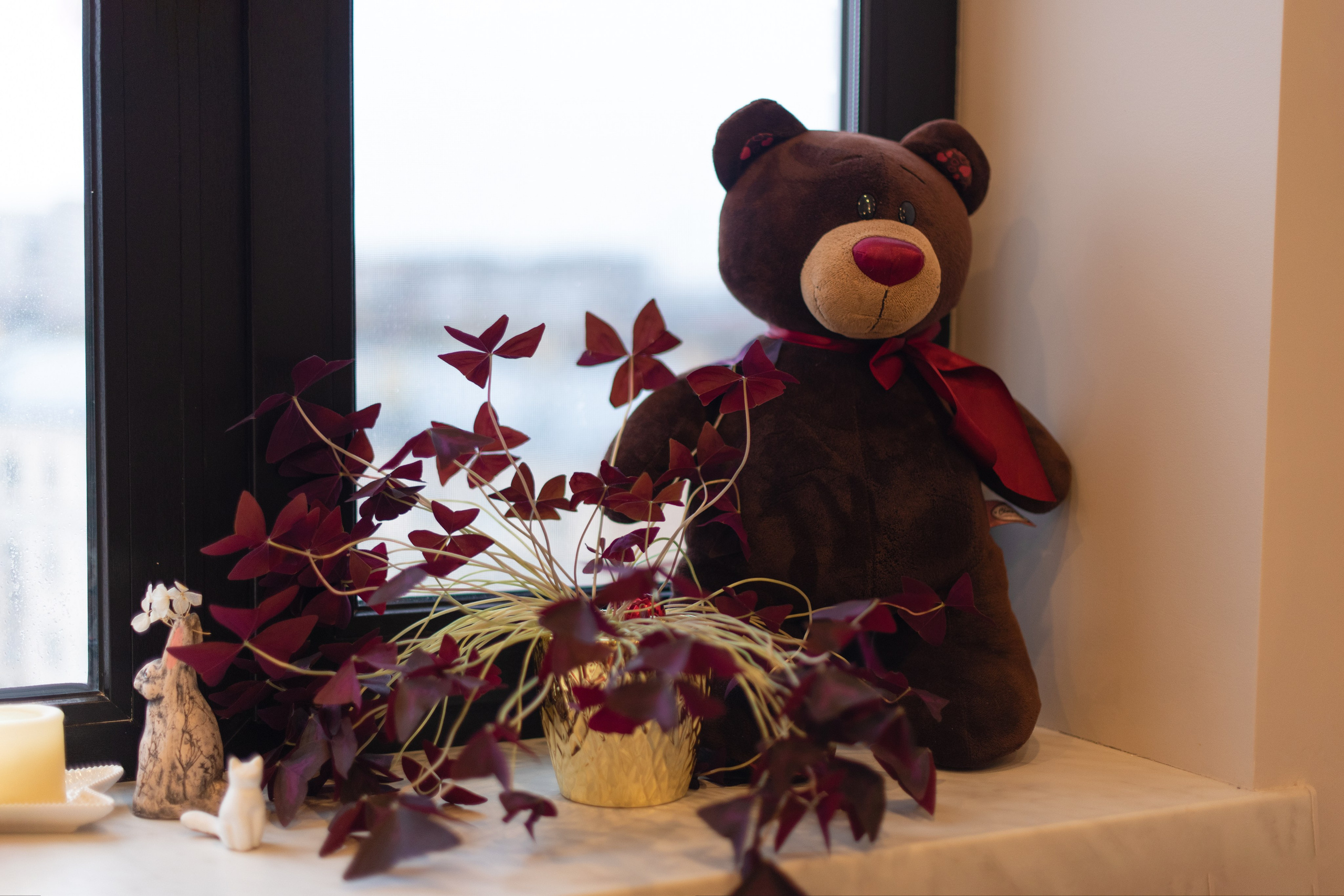 Манана. Анна Новосельцева. Индивидуальные фотосессии в Москве и М.О