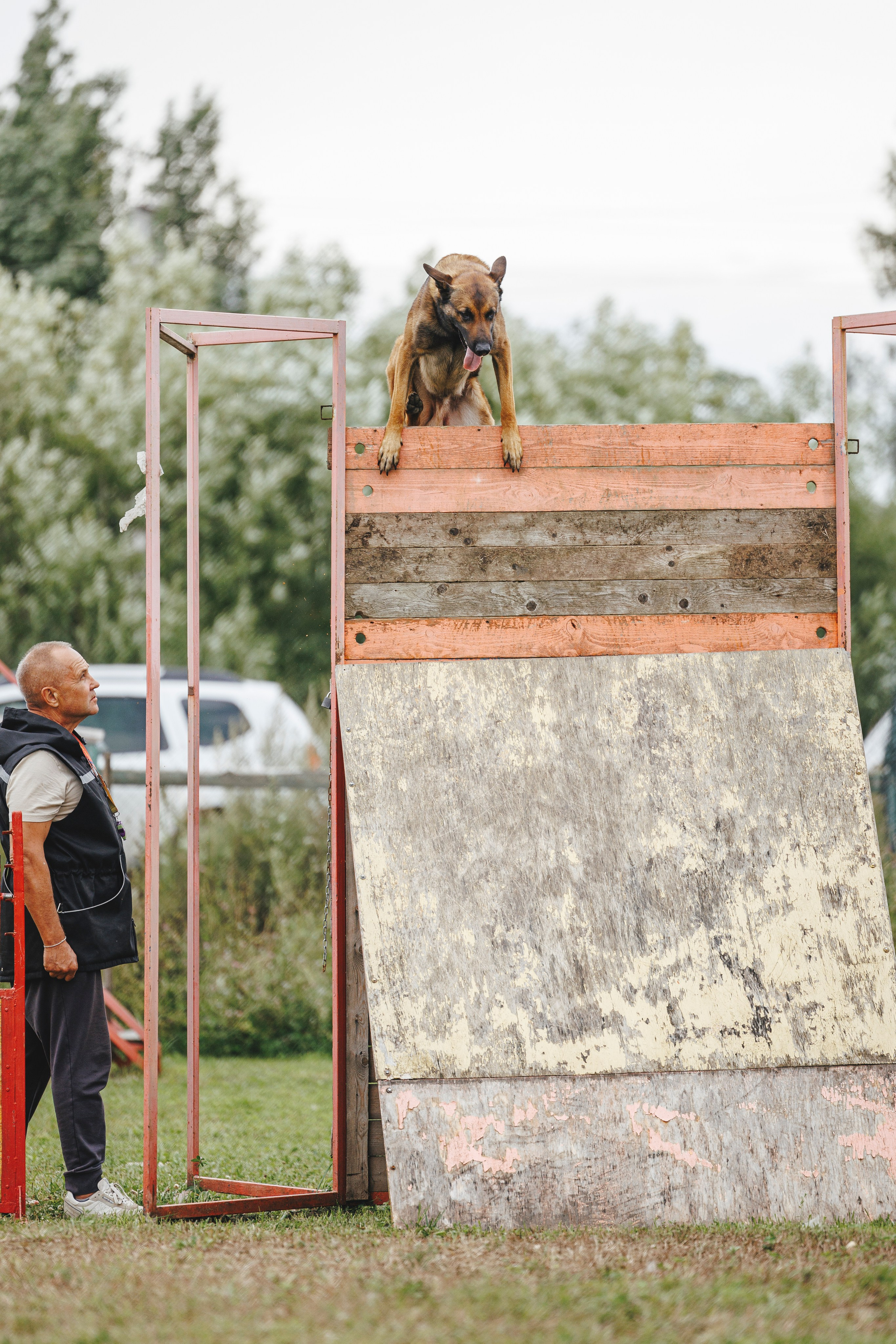 08.08.25-10.08.25 ЧР по мондьорингу г. Вологда. Фотограф-анималист Анна Маринич
