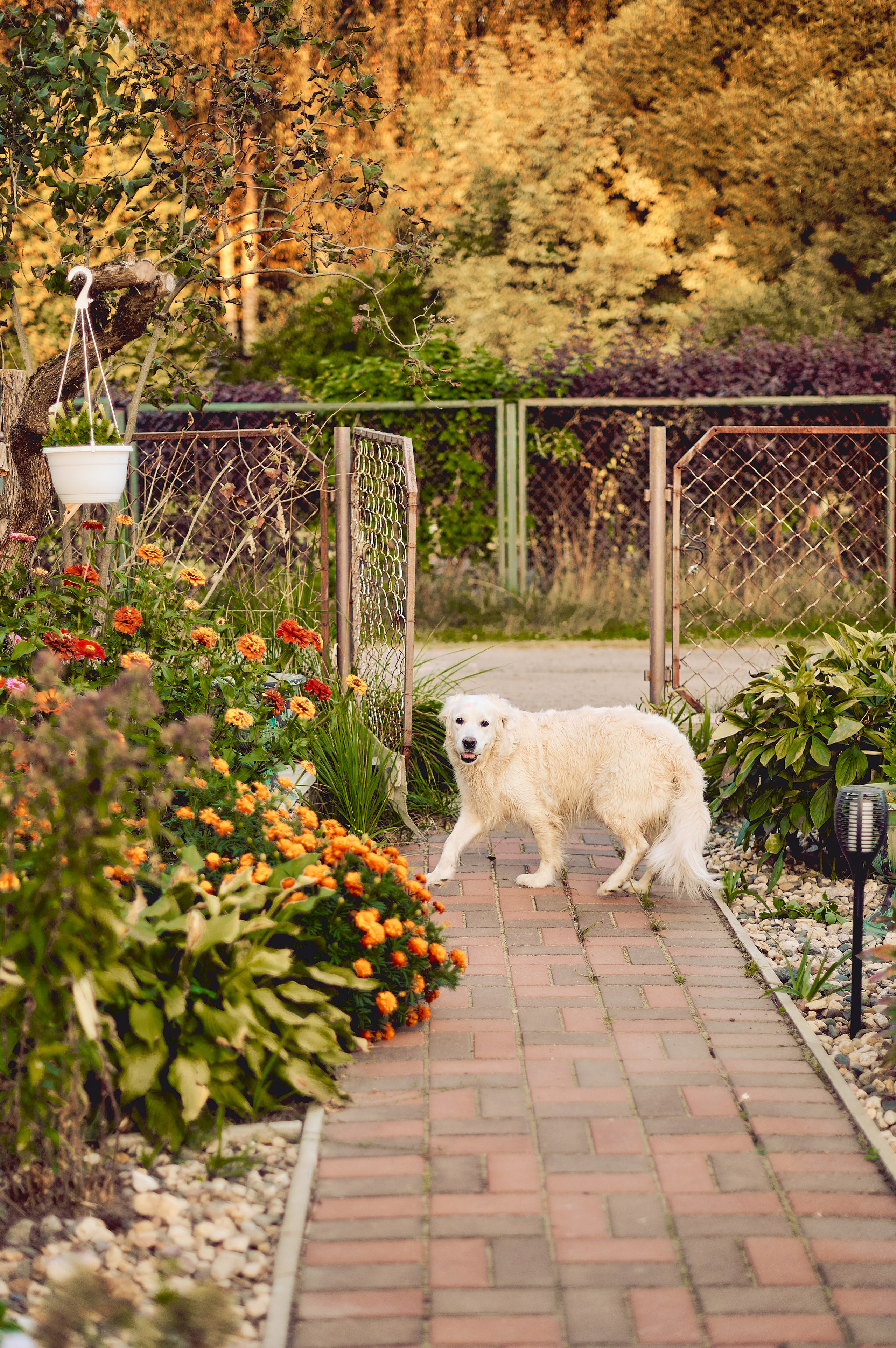МАРТУШЕ 18. Свадебный и семейный фотограф РИТА БОЧКАРЁВА