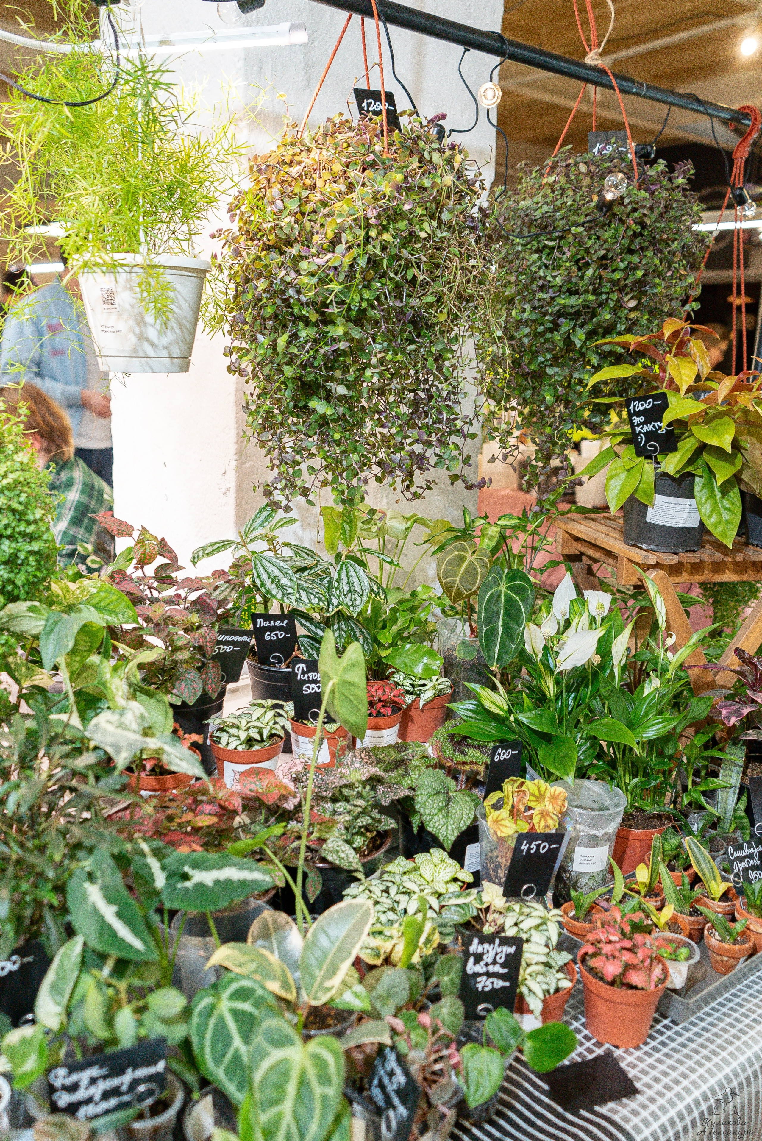 Гроубокс Артплей апрель. Александра Куликова фотограф, Москва