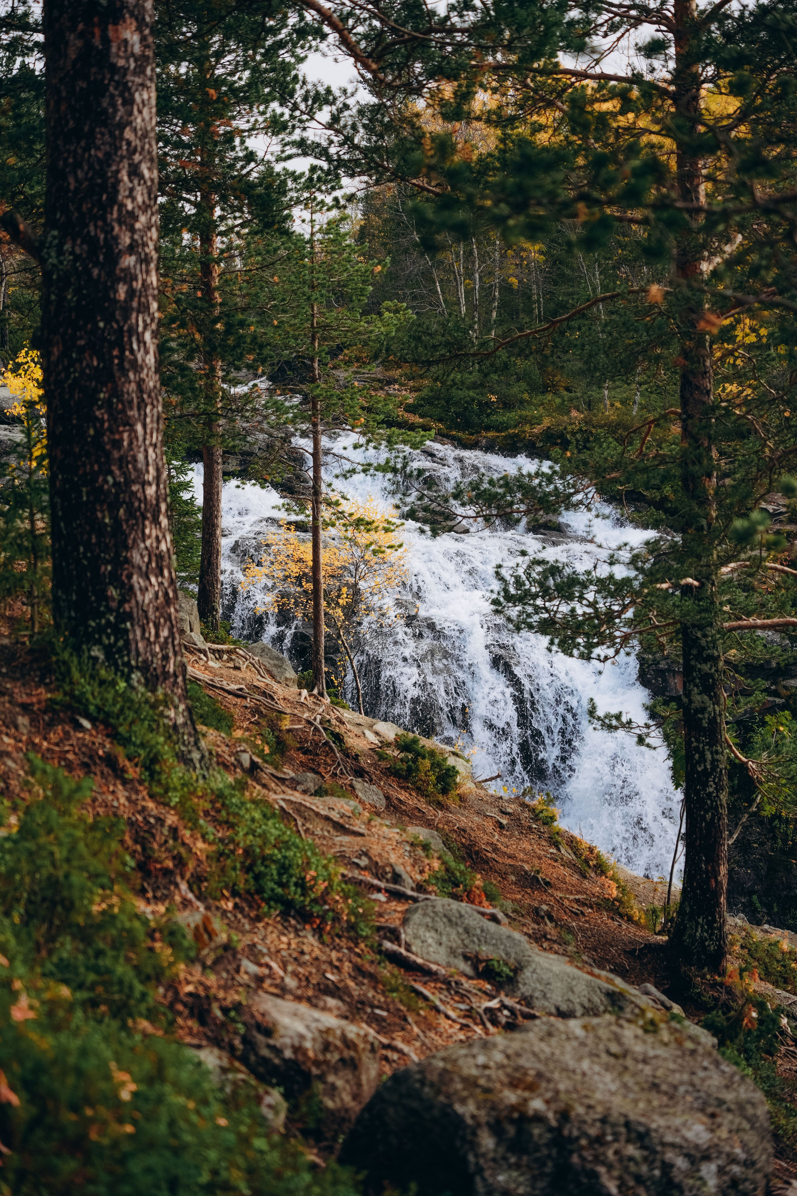СЕВЕР. Event фотограф Степанова Александра