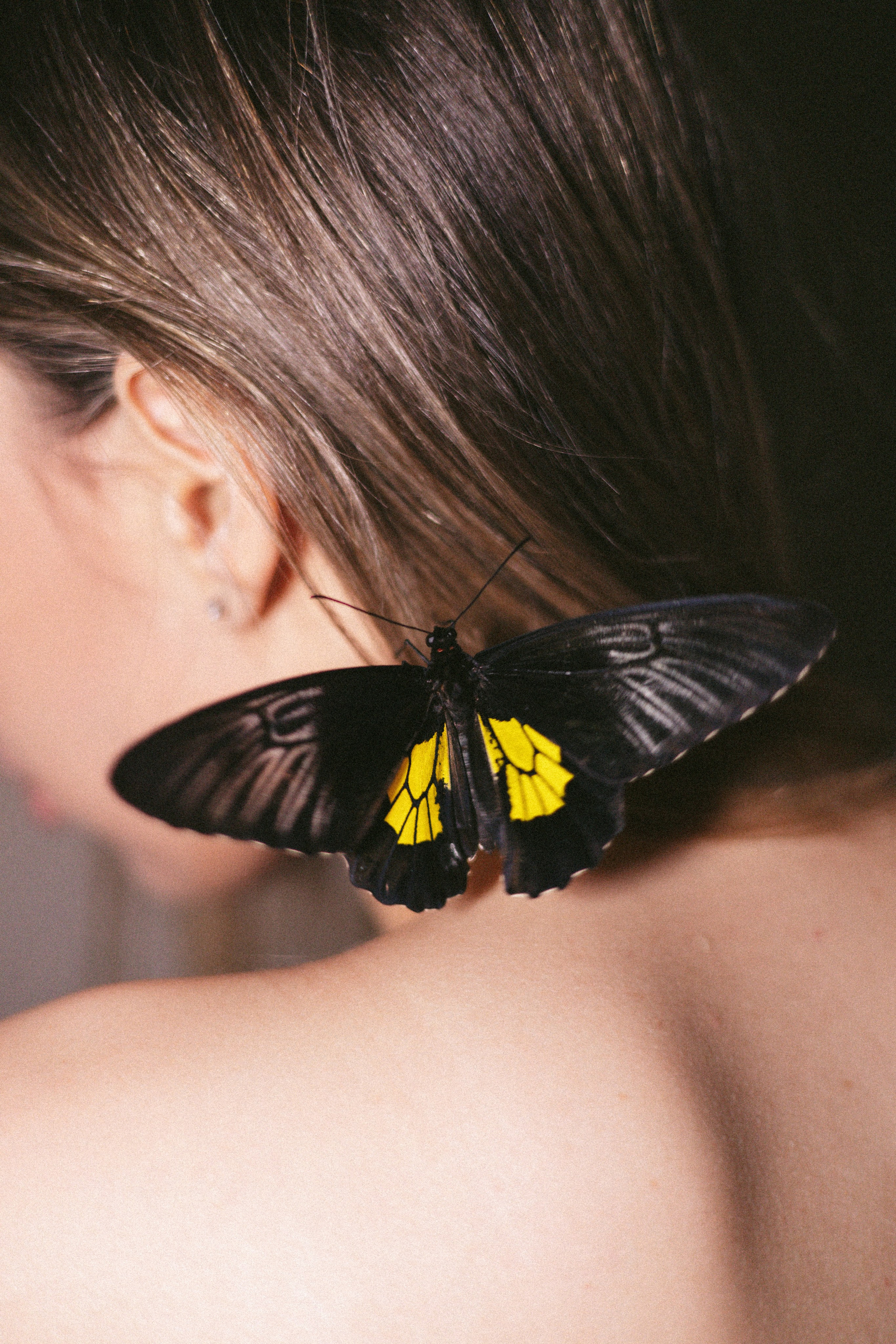 Девушки. Фотограф Оксана Пономарева