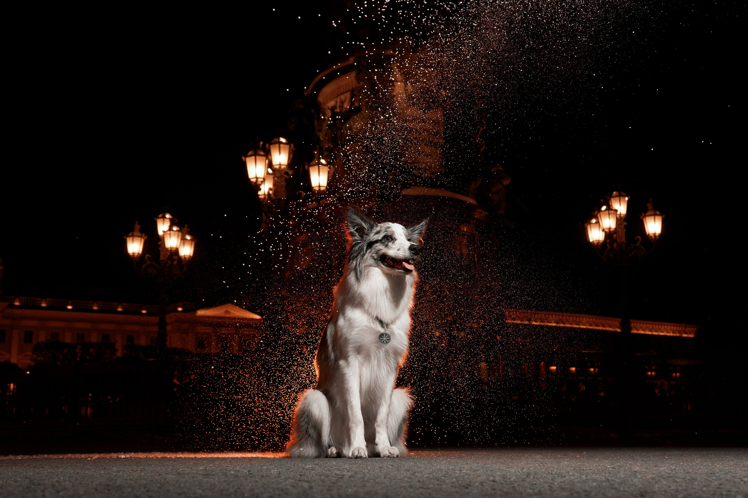 Фотограф людей и животных в Санкт-Петербурге Марина Бурмистрова