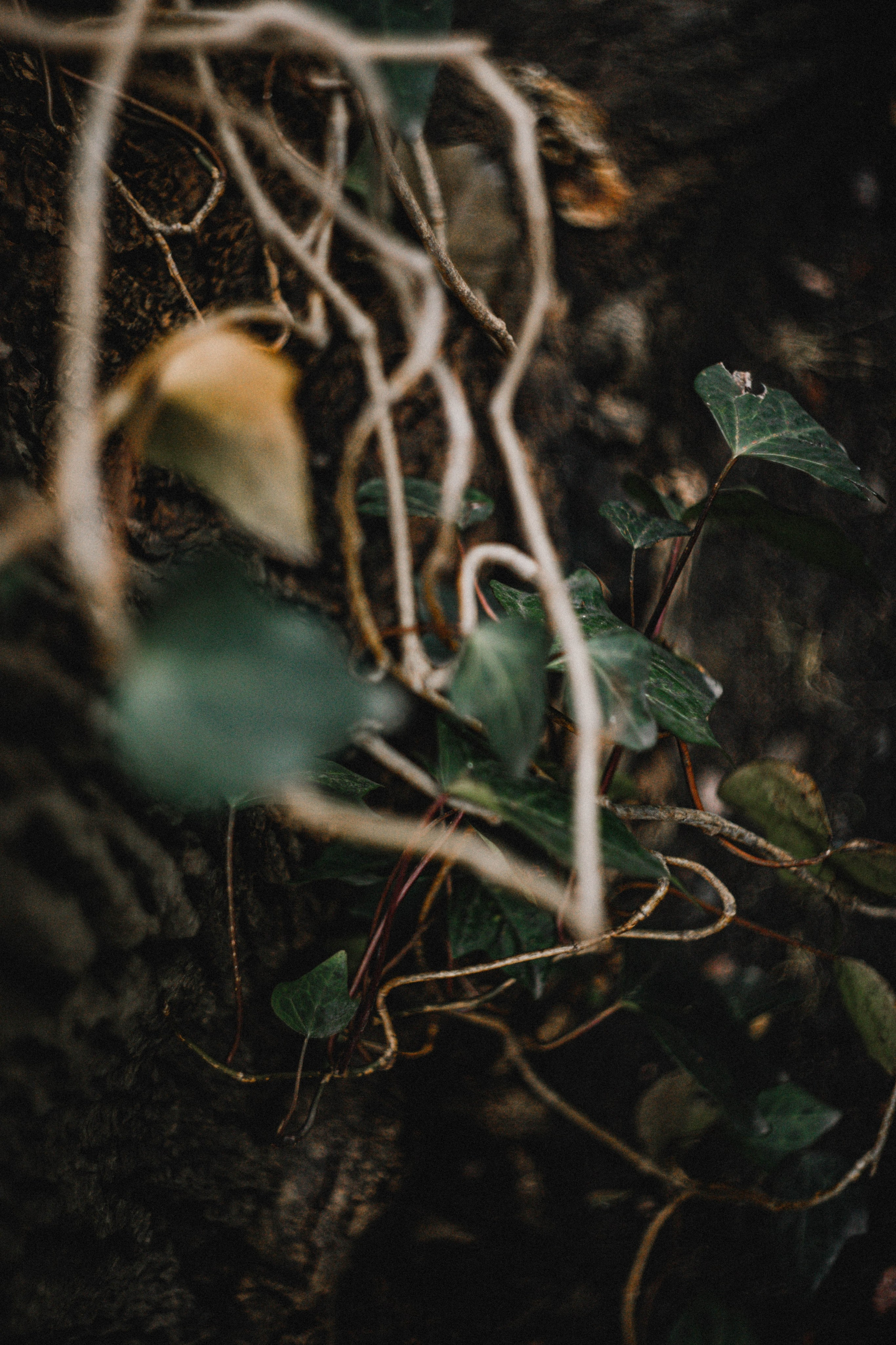 Питер / 24. Фотограф в Нижнем Новгороде