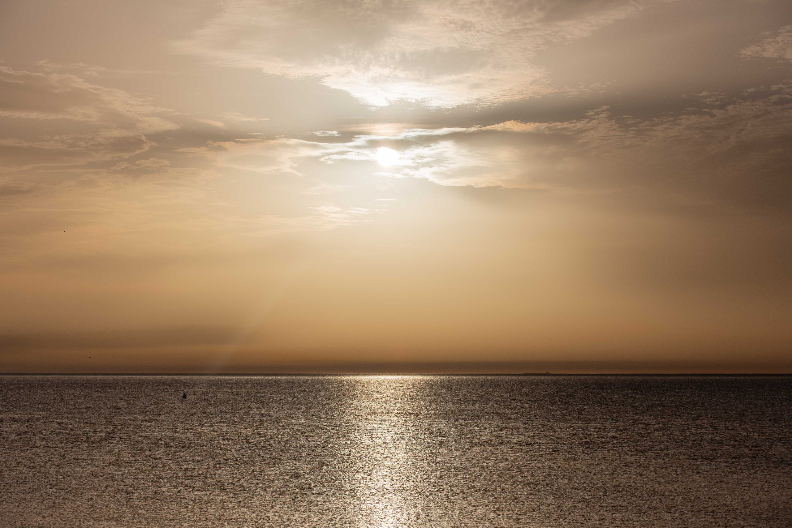 Anastasia Shapoval violoniste et photographe. Annecy — Geneve