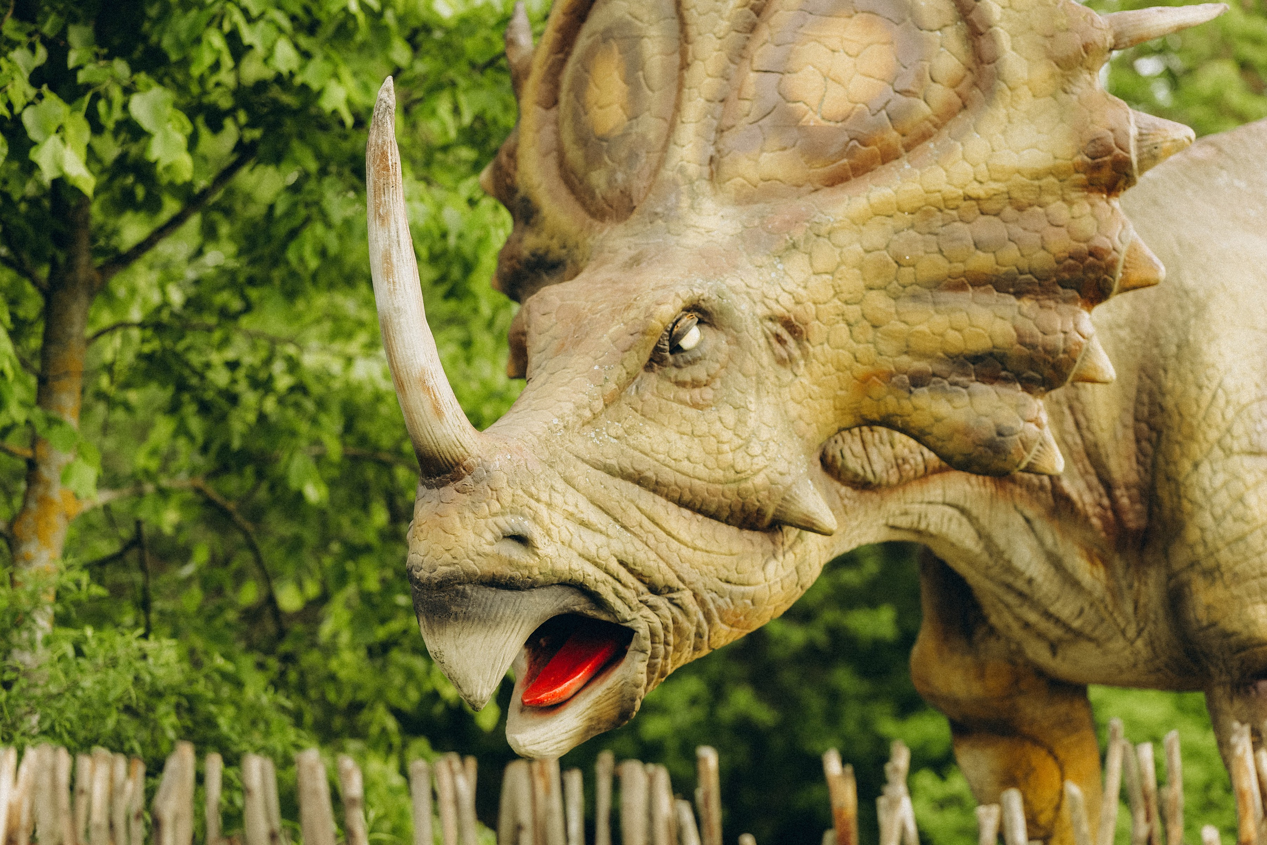 Семейная прогулка в Динопарке