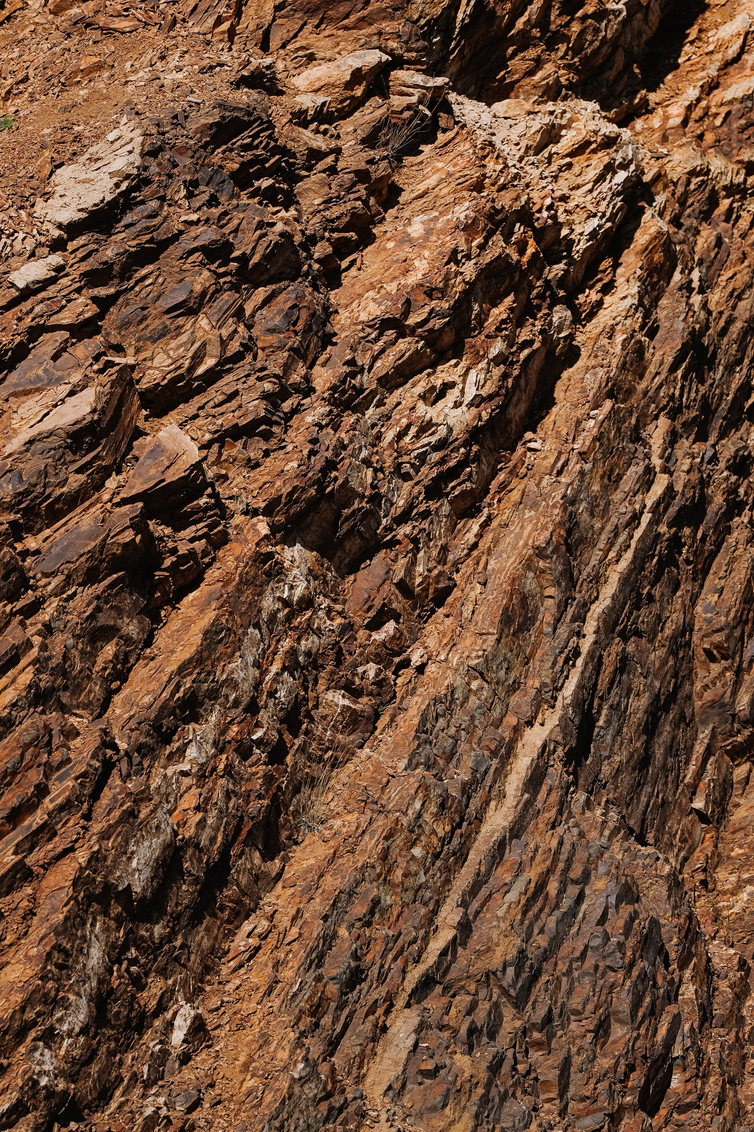 Роза Хутор ✽ Ноябрь. Репортажный фотограф | Роза Хутор Красная Поляна Сочи Сириус