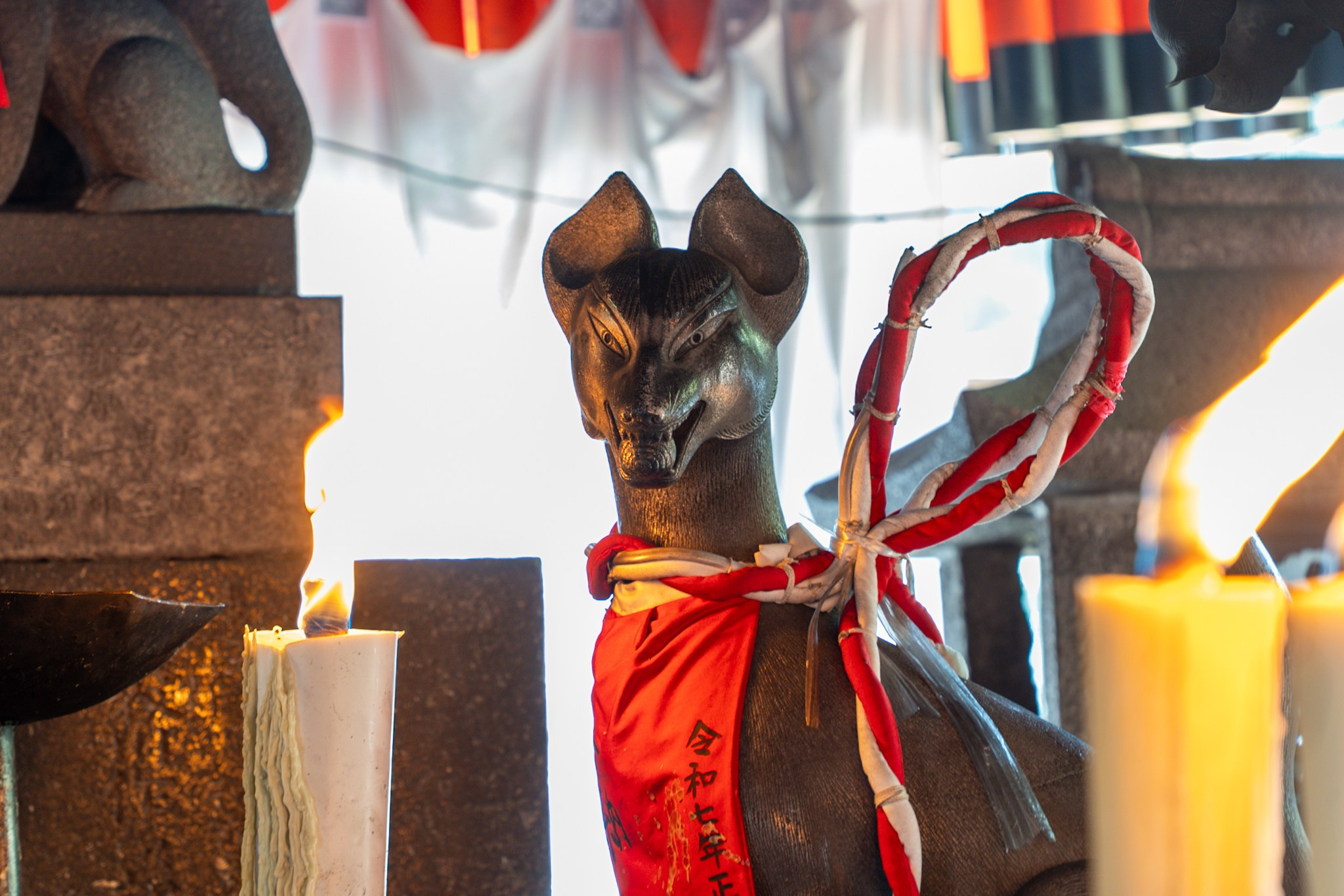 Япония, сакура. Творческие сьемки